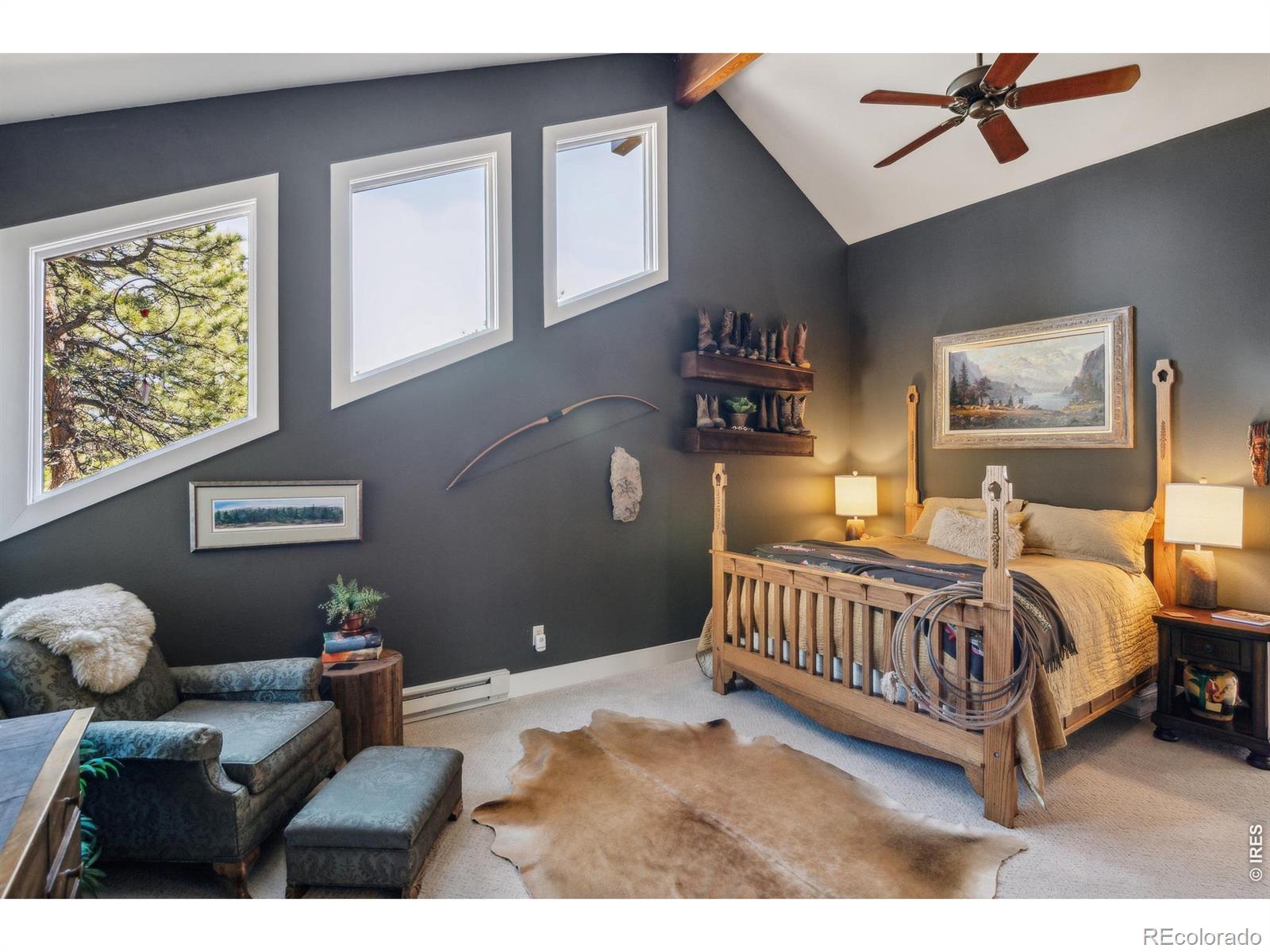 MLS Image #9 for 146  ponderosa court,red feather lakes, Colorado