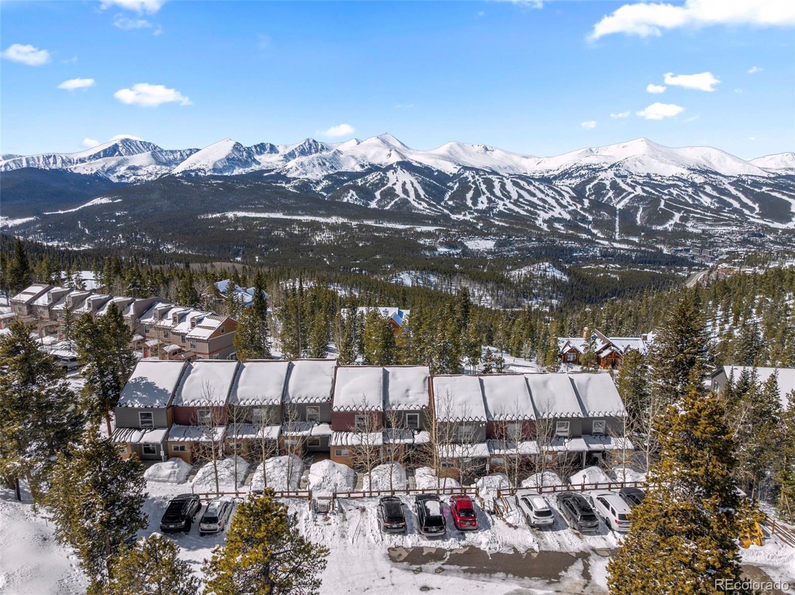 MLS Image #20 for 1014  atlantic lode road,breckenridge, Colorado