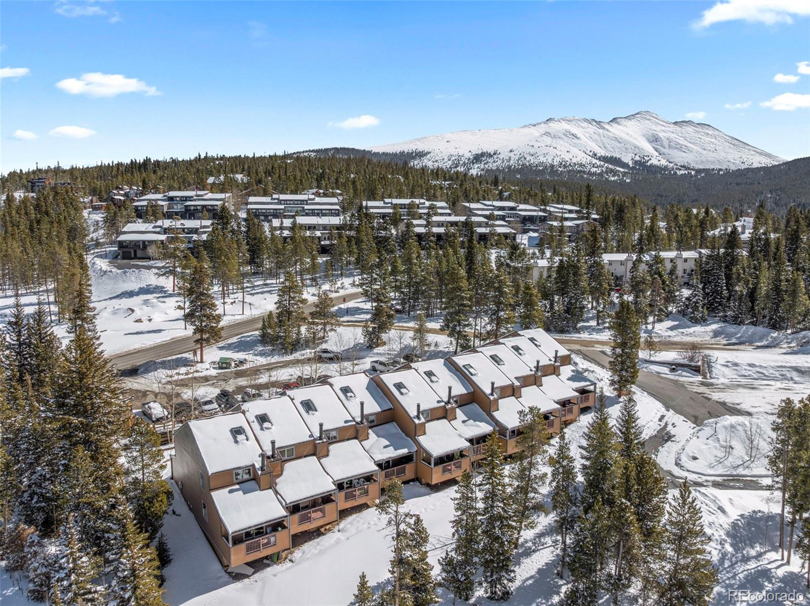 MLS Image #21 for 1014  atlantic lode road,breckenridge, Colorado