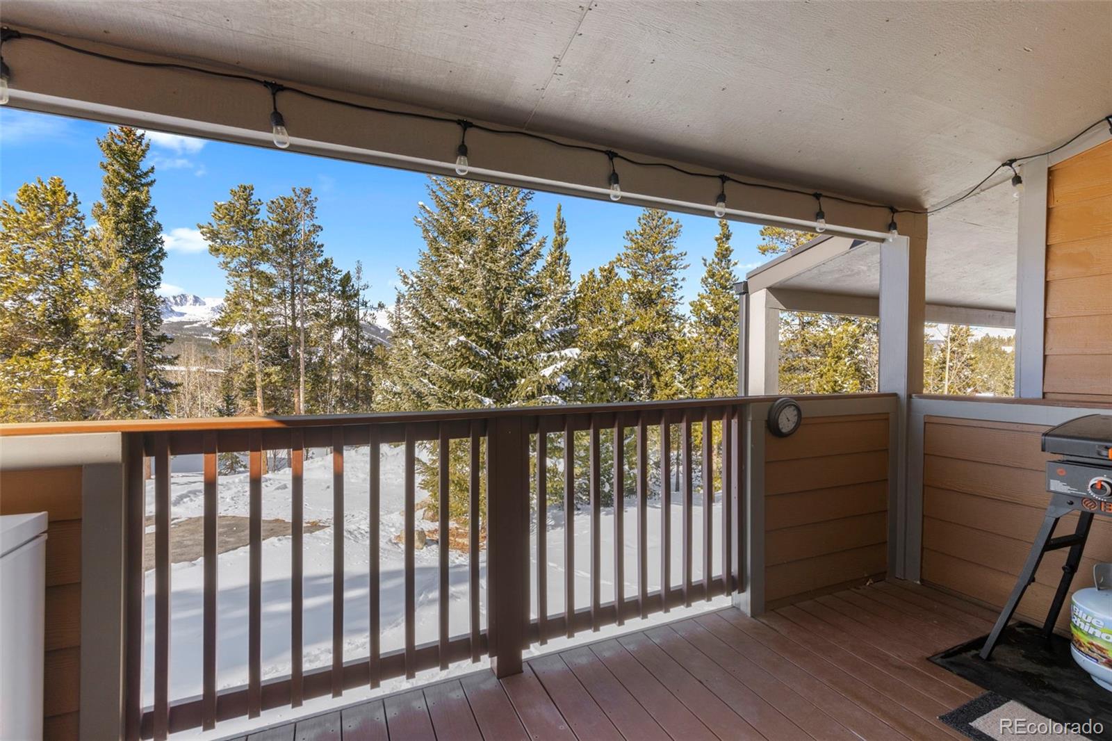 MLS Image #7 for 1014  atlantic lode road,breckenridge, Colorado