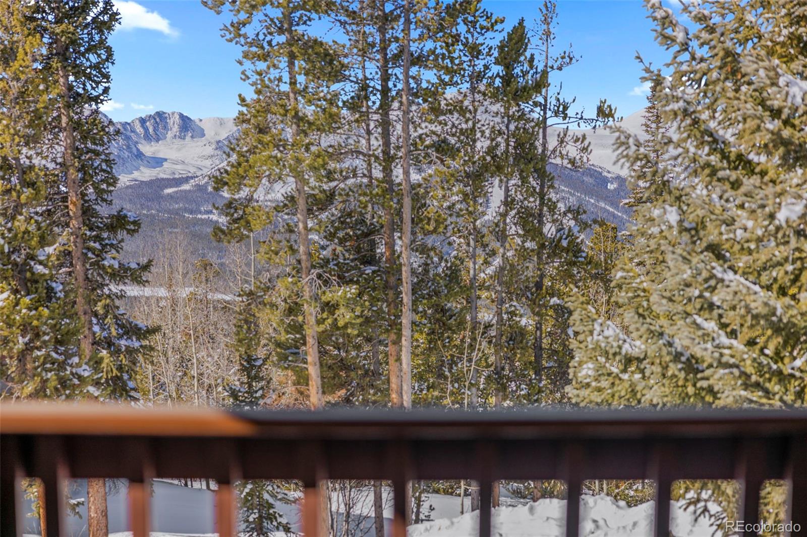 MLS Image #8 for 1014  atlantic lode road,breckenridge, Colorado