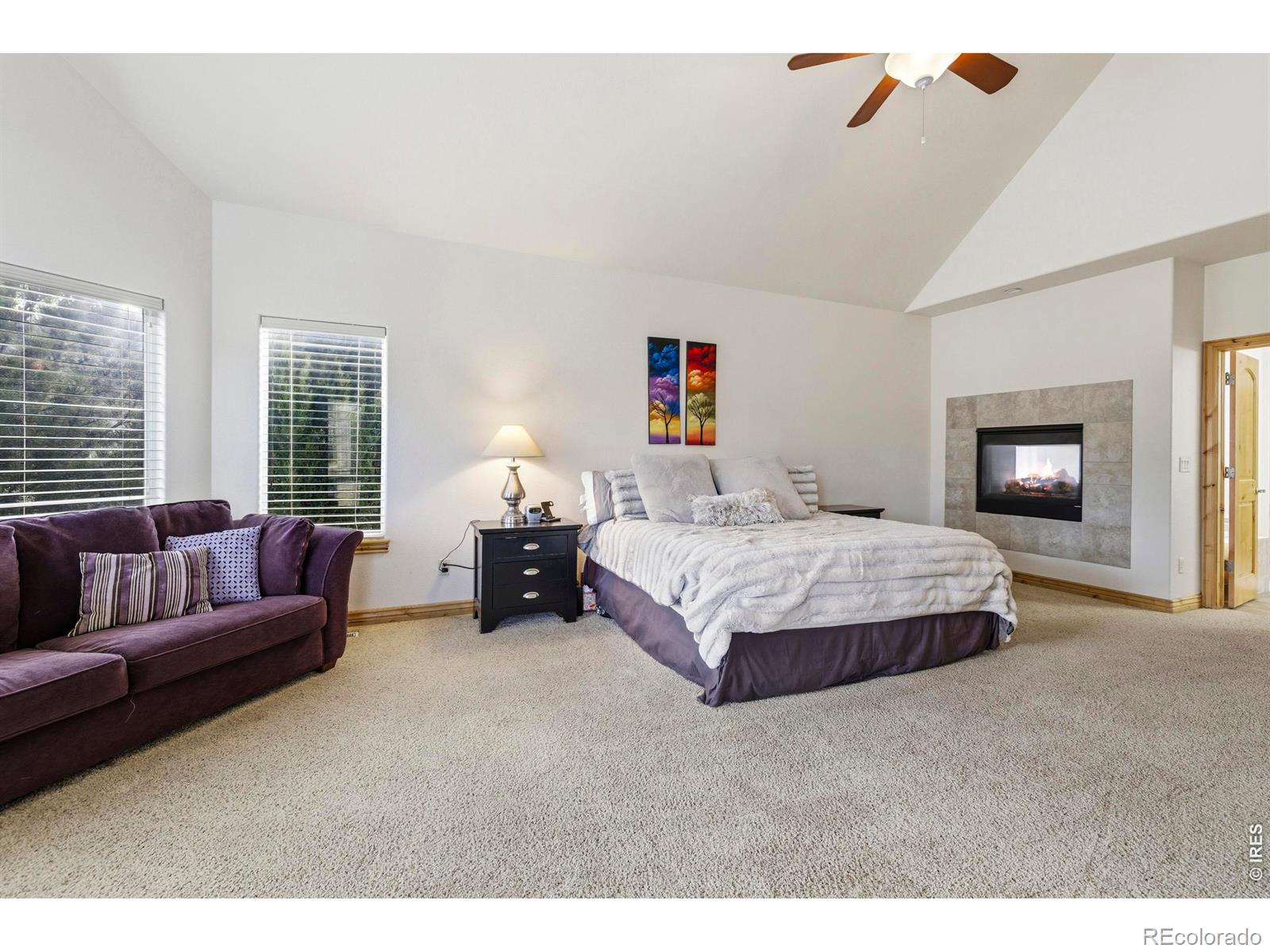 MLS Image #22 for 8295  avalon court,windsor, Colorado