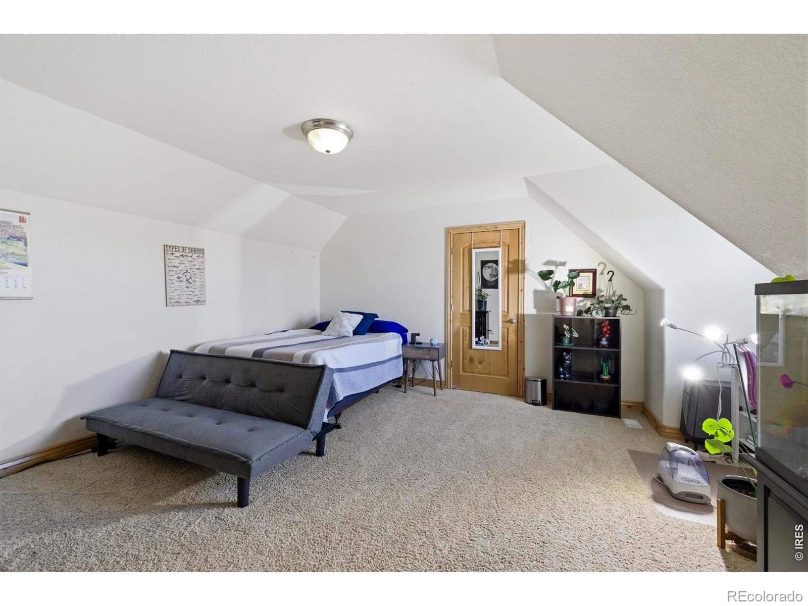 MLS Image #28 for 8295  avalon court,windsor, Colorado