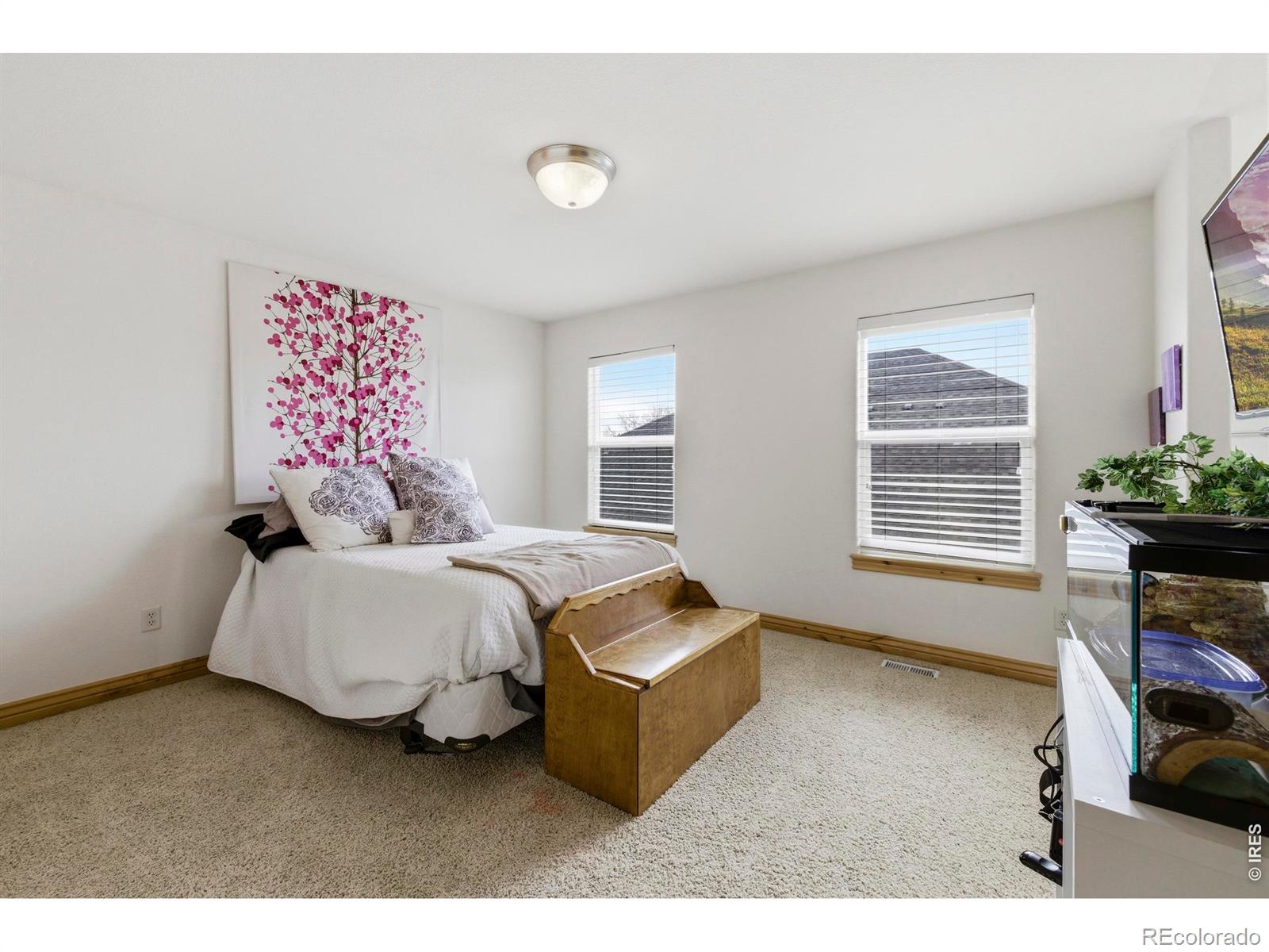 MLS Image #29 for 8295  avalon court,windsor, Colorado