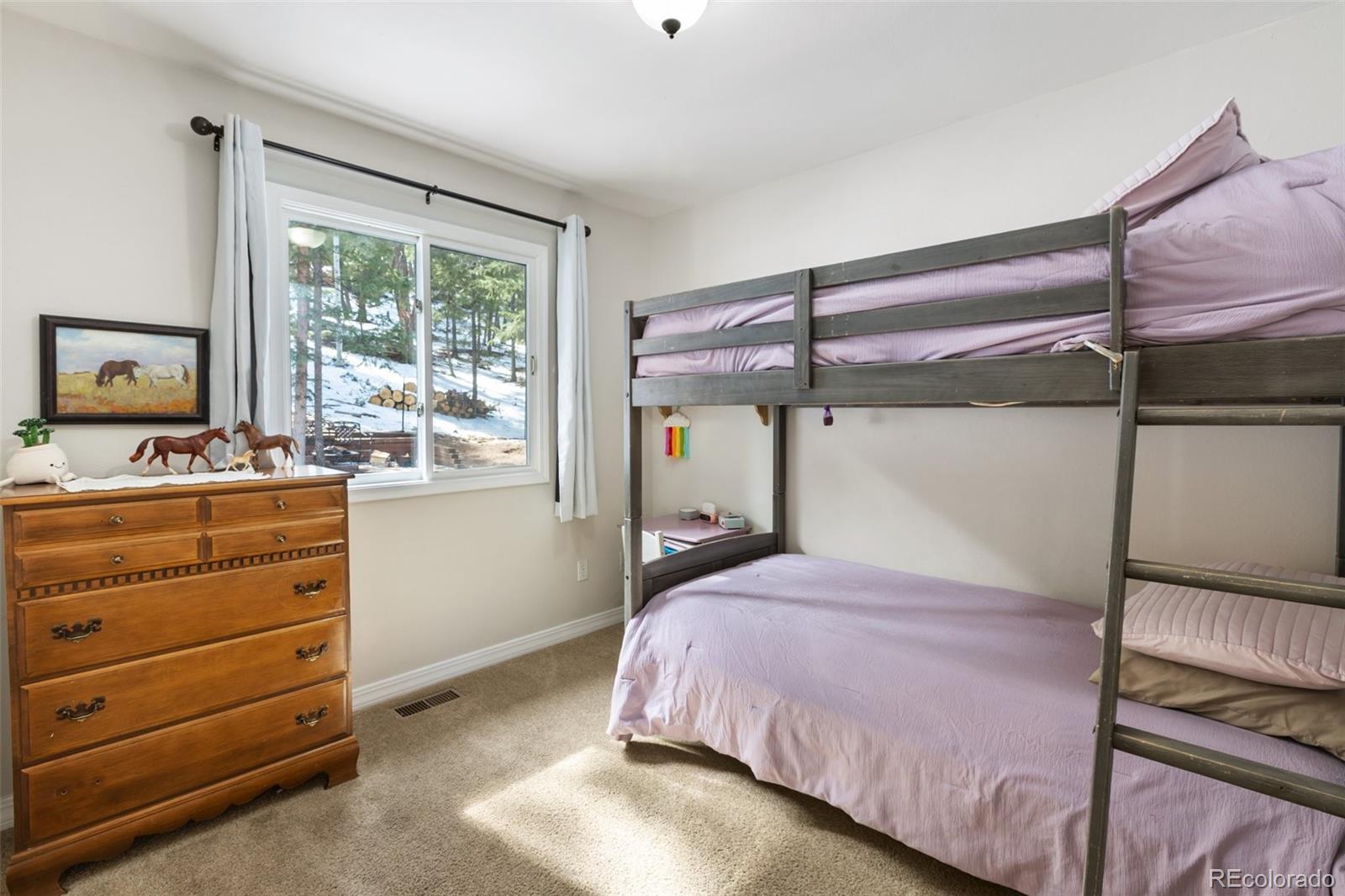 MLS Image #11 for 2865  sunnywood avenue,woodland park, Colorado