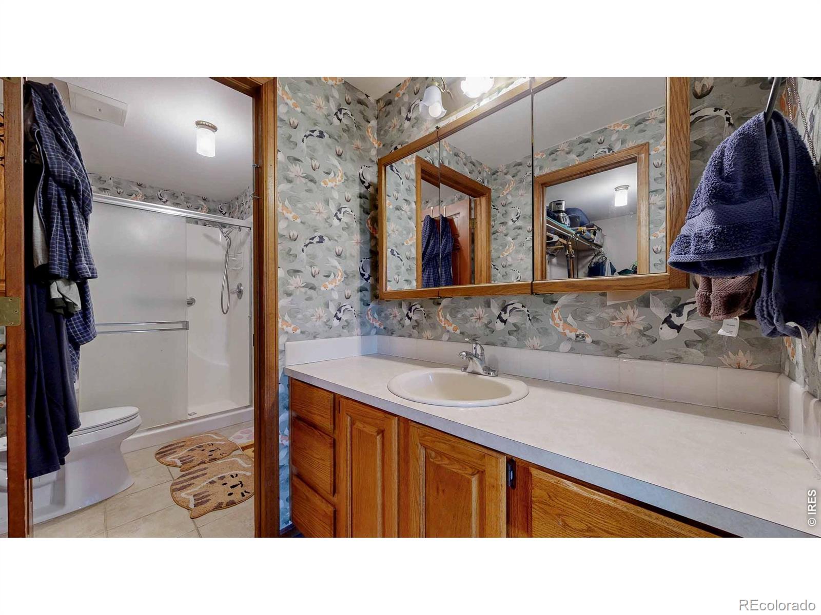 MLS Image #16 for 1534 w 28th street,loveland, Colorado