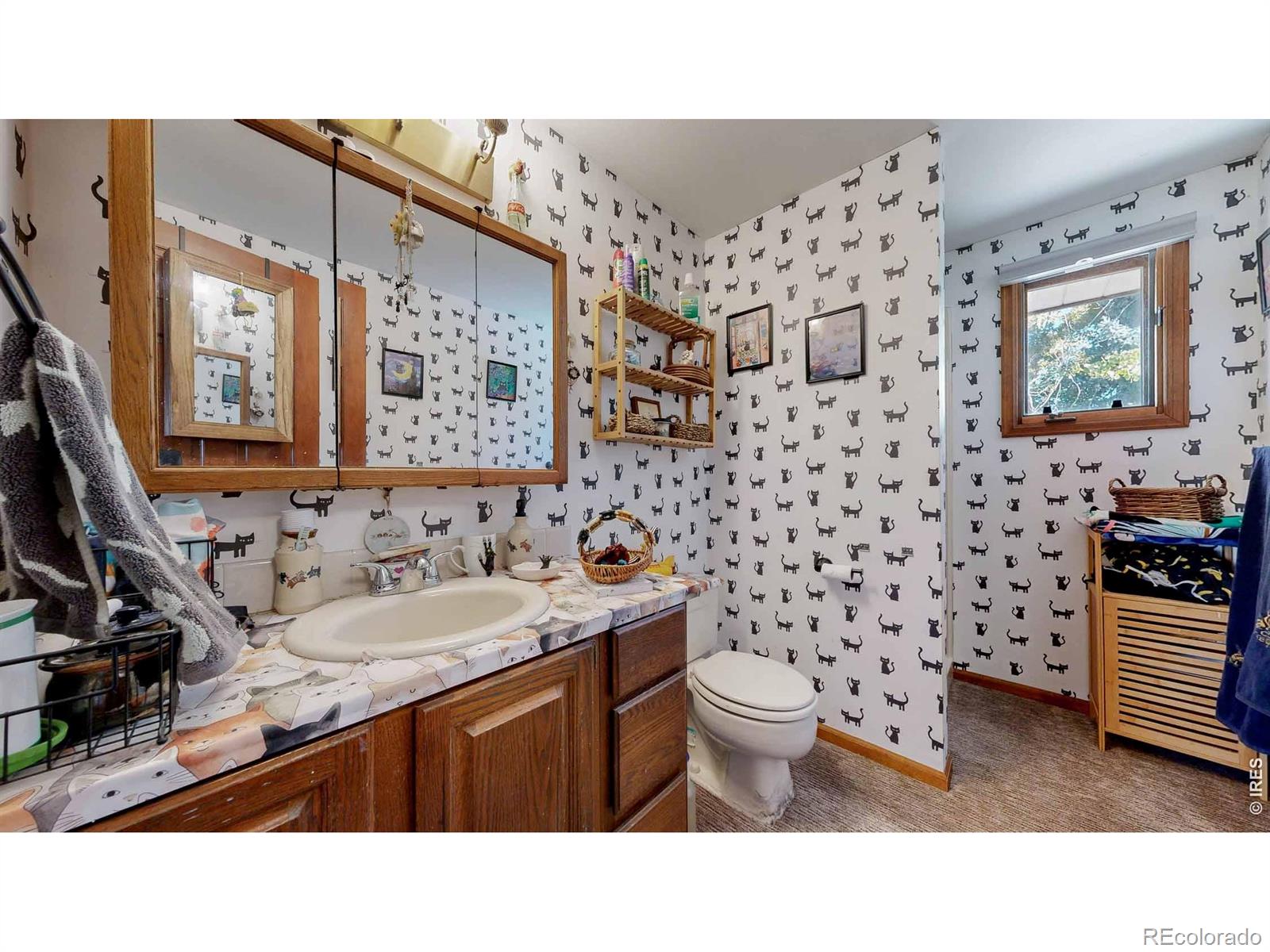 MLS Image #20 for 1534 w 28th street,loveland, Colorado
