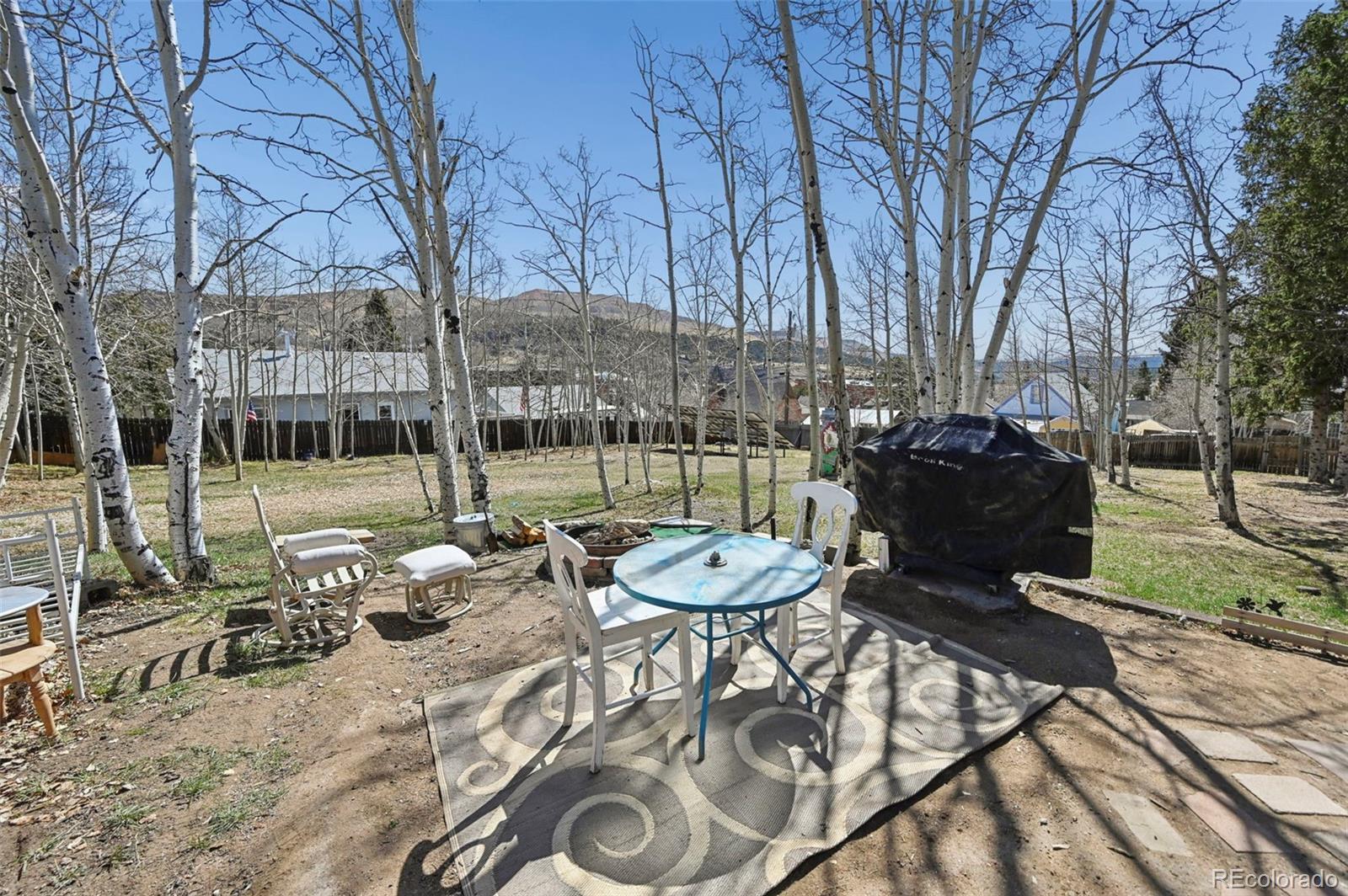 MLS Image #30 for 128 w eaton avenue,cripple creek, Colorado