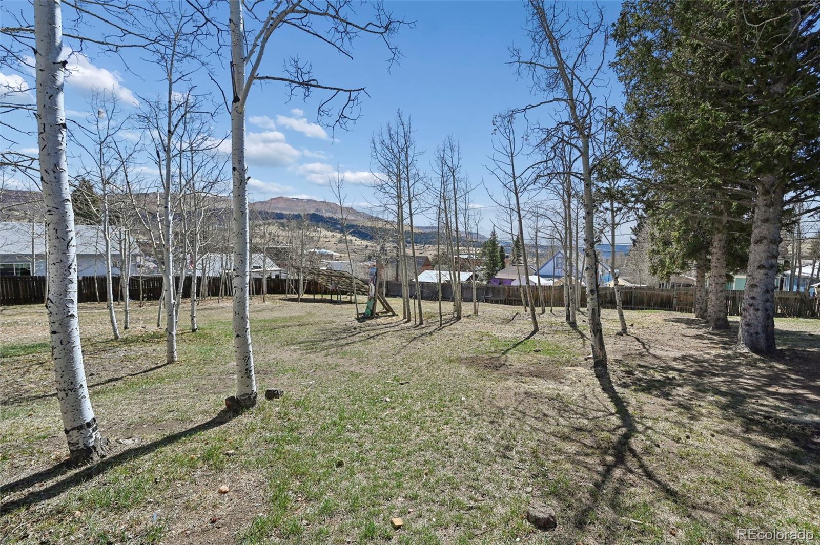 MLS Image #31 for 128 w eaton avenue,cripple creek, Colorado
