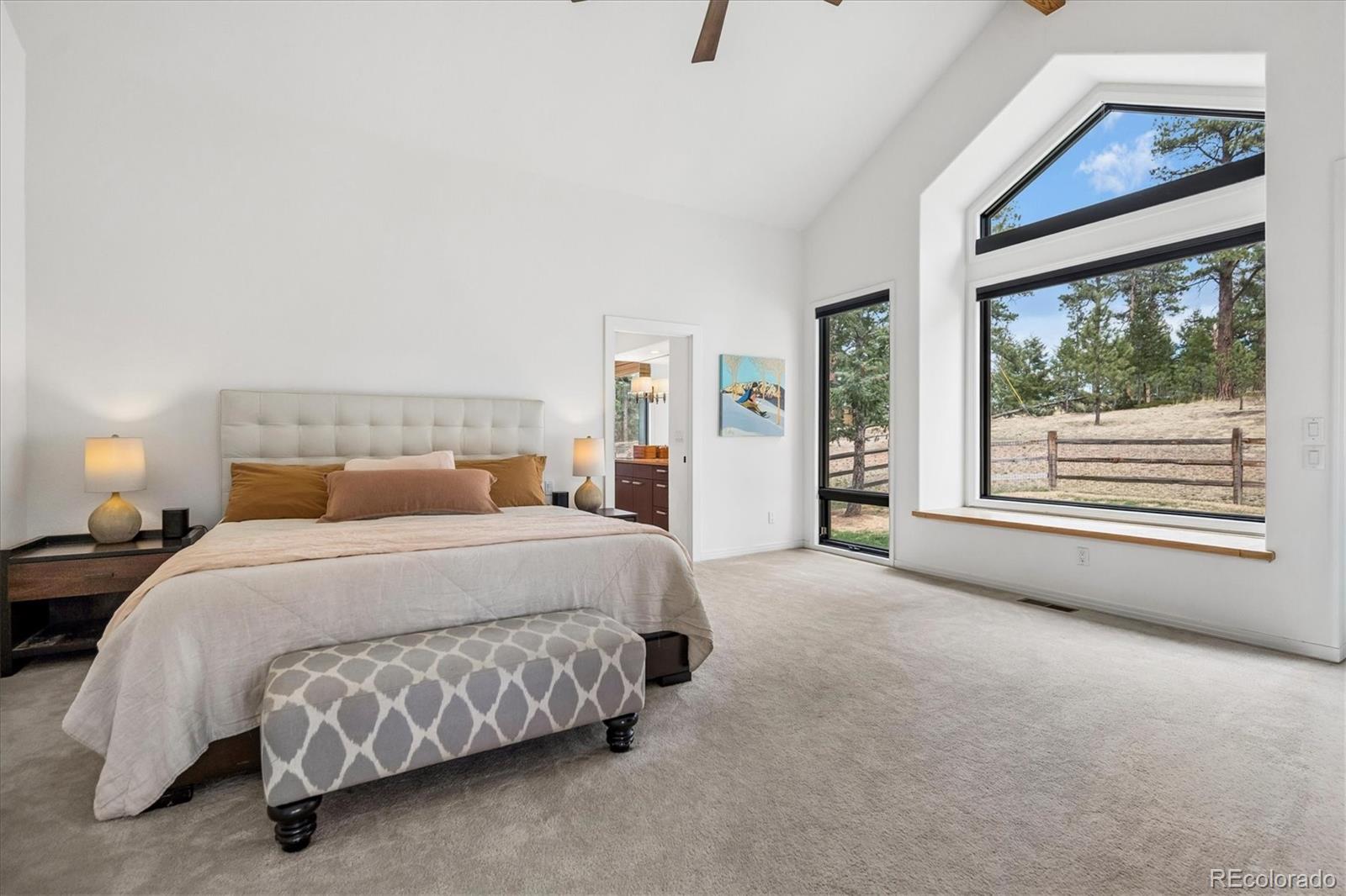 MLS Image #19 for 1424  solitude lane,evergreen, Colorado