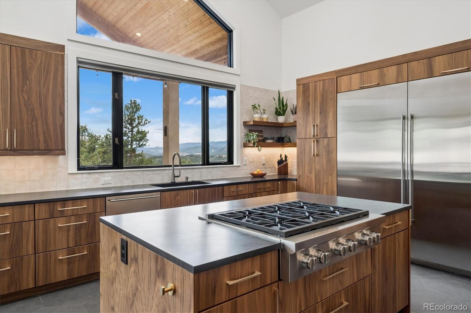 MLS Image #4 for 1424  solitude lane,evergreen, Colorado