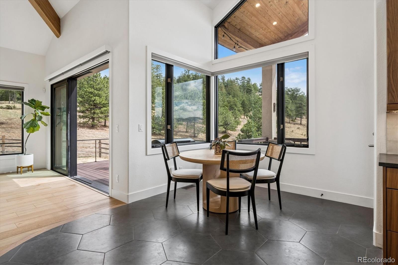 MLS Image #9 for 1424  solitude lane,evergreen, Colorado