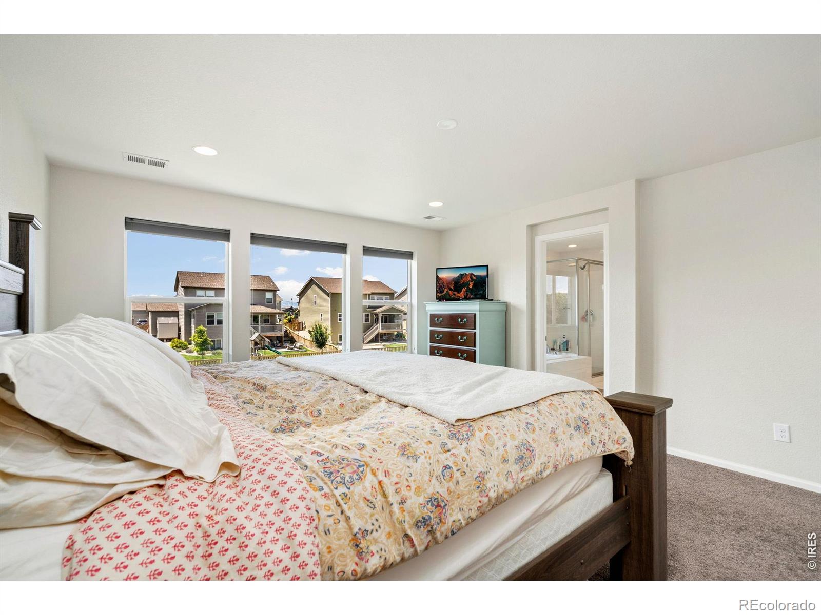 MLS Image #11 for 5259  odessa lake street,timnath, Colorado