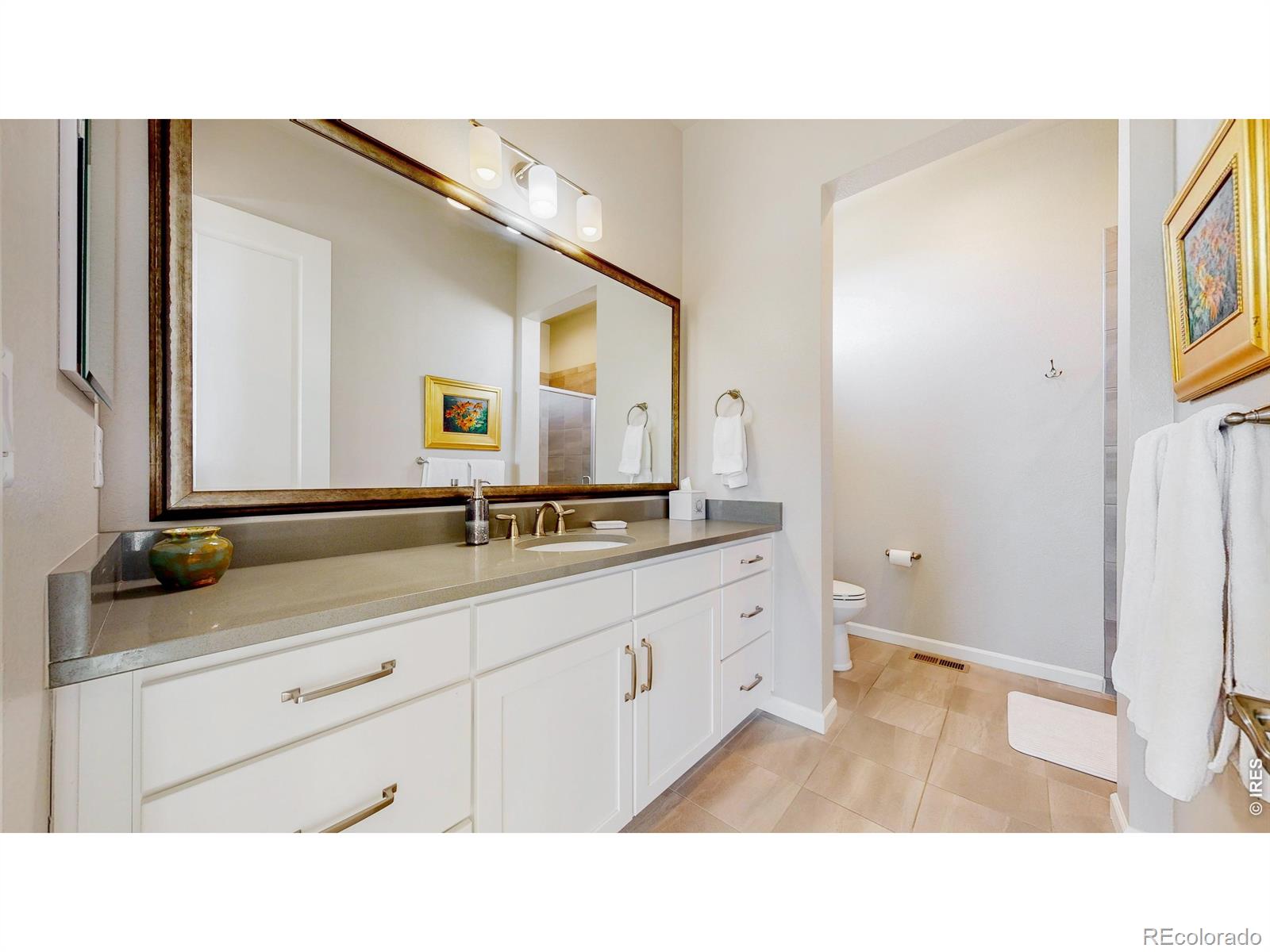 MLS Image #21 for 7023  lightning court,timnath, Colorado