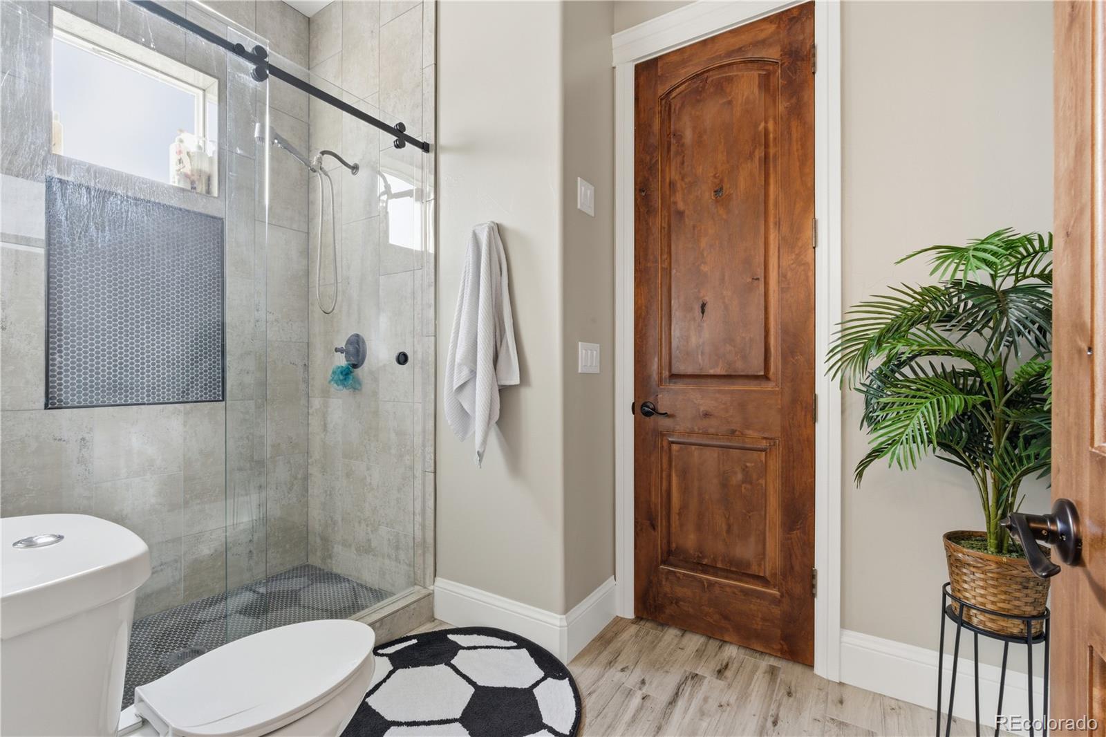 MLS Image #7 for 29303 e 165th avenue,brighton, Colorado
