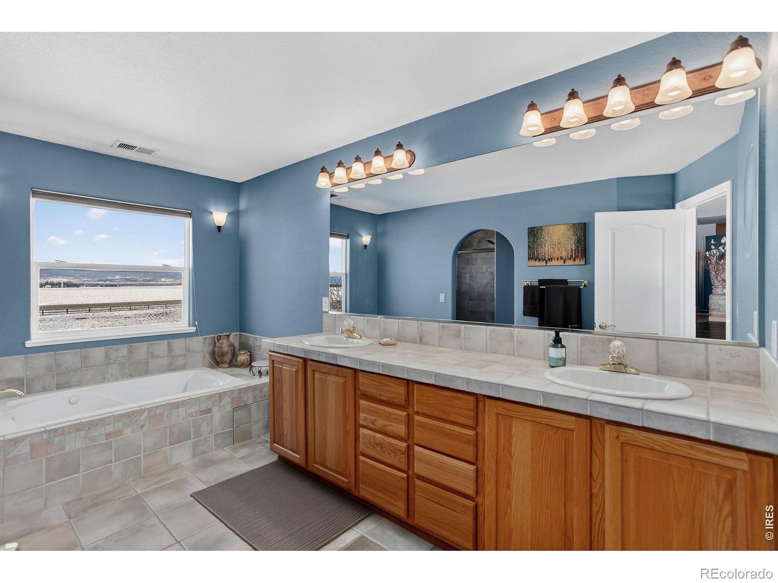 MLS Image #22 for 18031  wagon trail,mead, Colorado