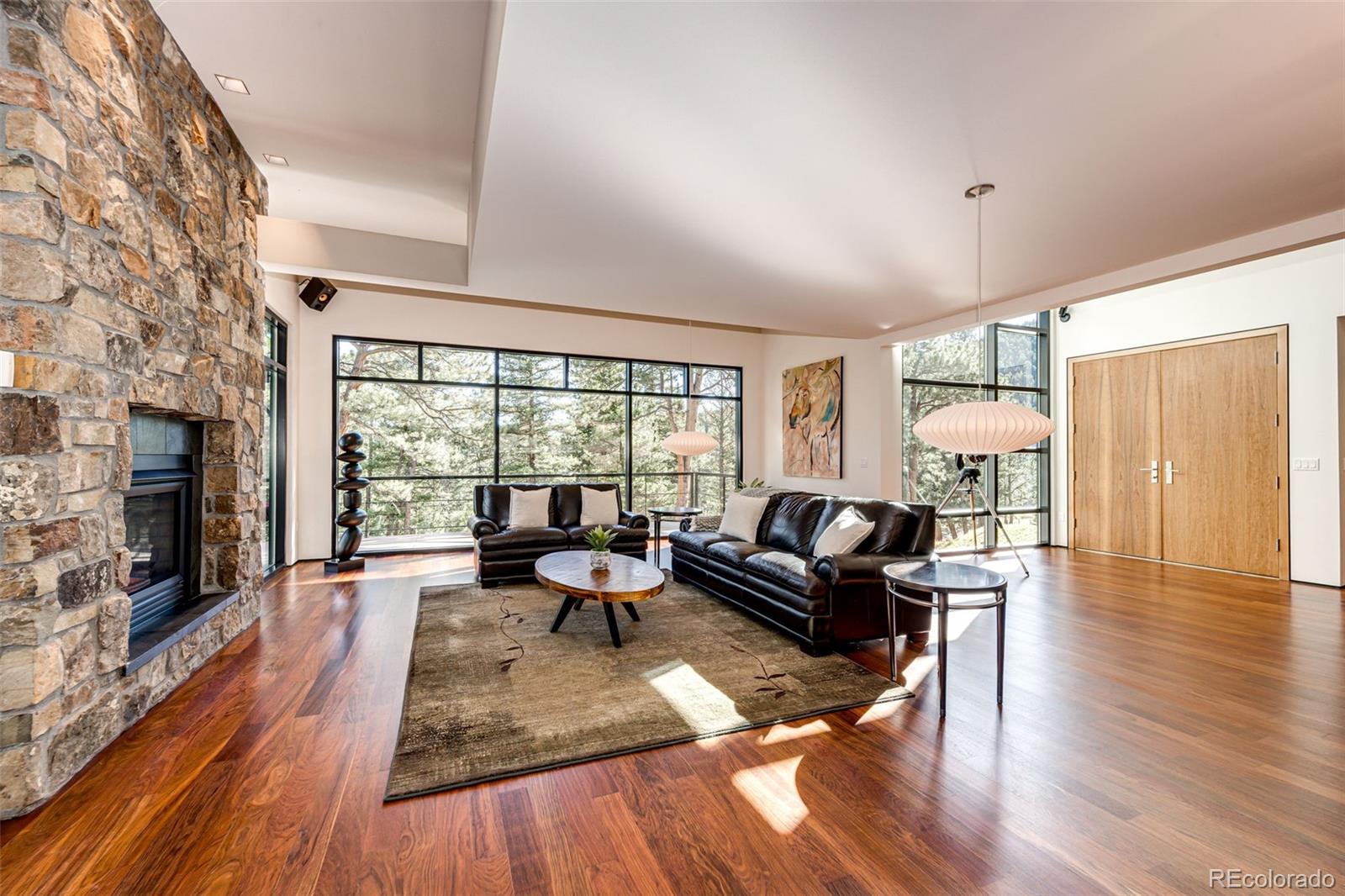 MLS Image #19 for 32651  buffalo creek road,evergreen, Colorado