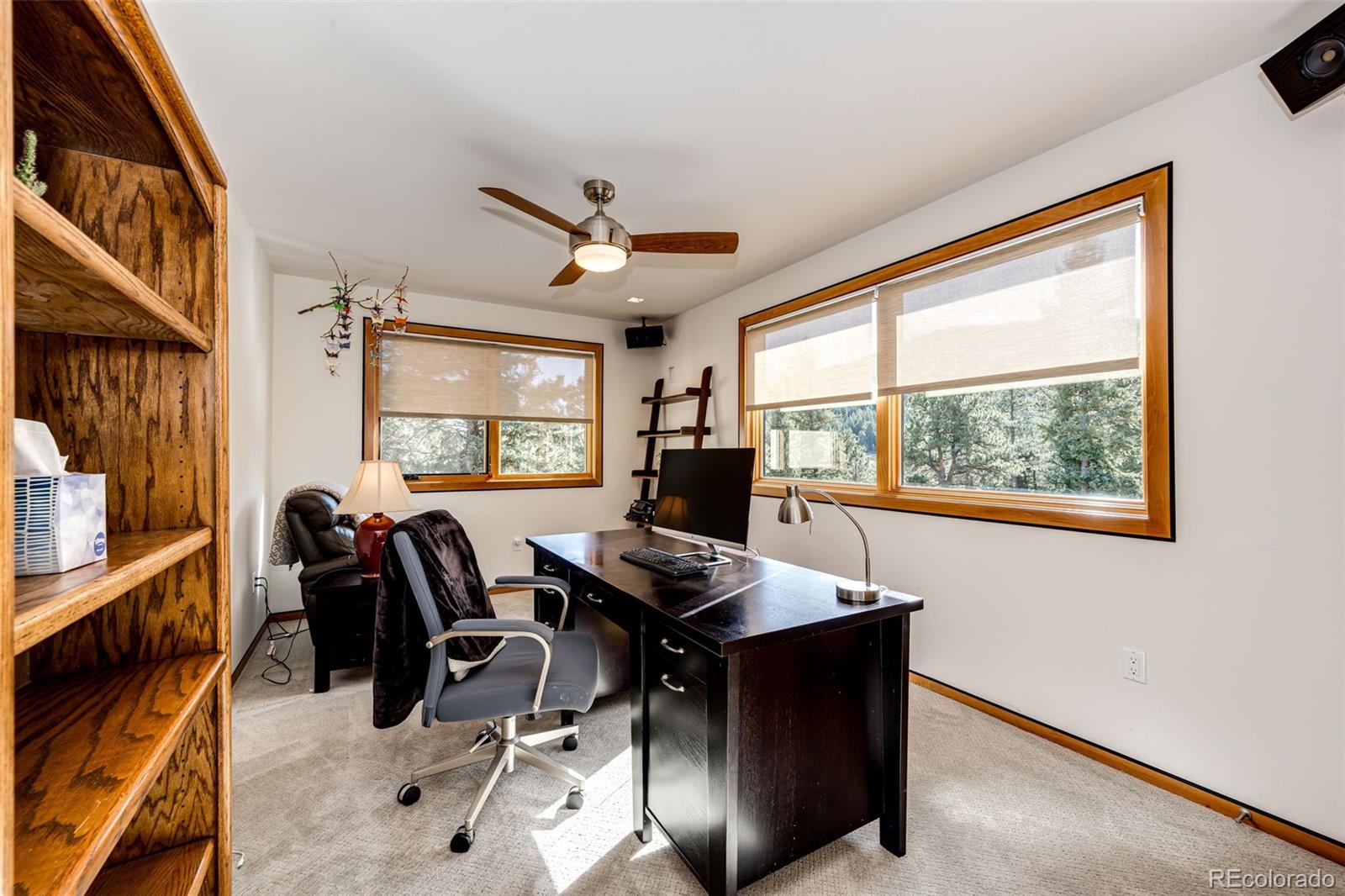 MLS Image #29 for 32651  buffalo creek road,evergreen, Colorado