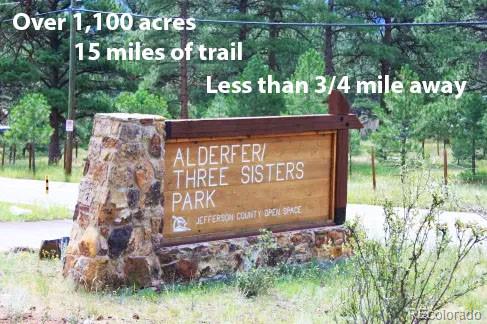 MLS Image #40 for 32651  buffalo creek road,evergreen, Colorado
