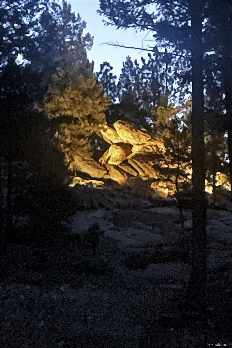 MLS Image #41 for 32651  buffalo creek road,evergreen, Colorado