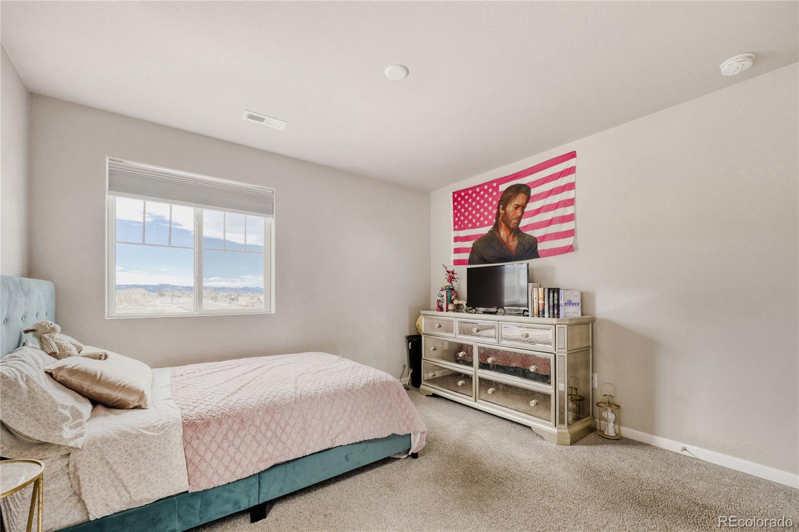 MLS Image #17 for 3598  swabuck place,castle rock, Colorado