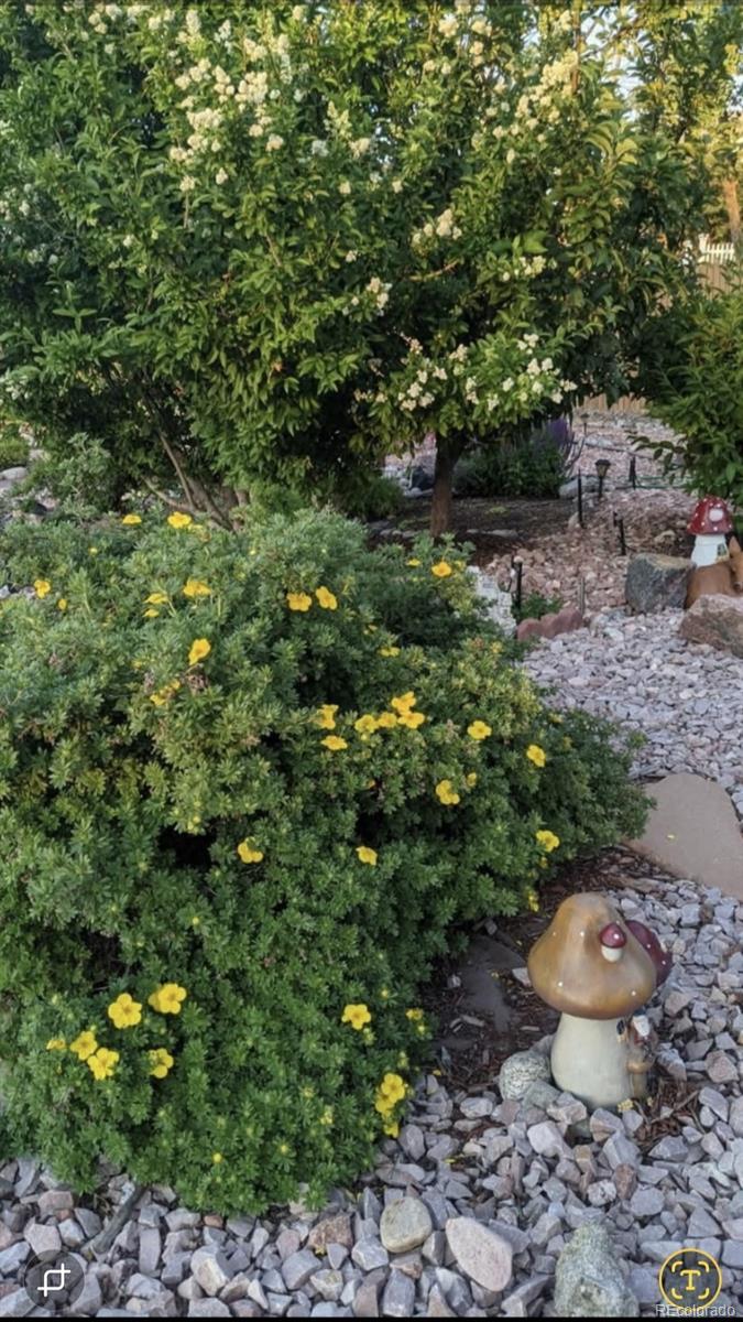 MLS Image #36 for 2430 s fundy circle,aurora, Colorado