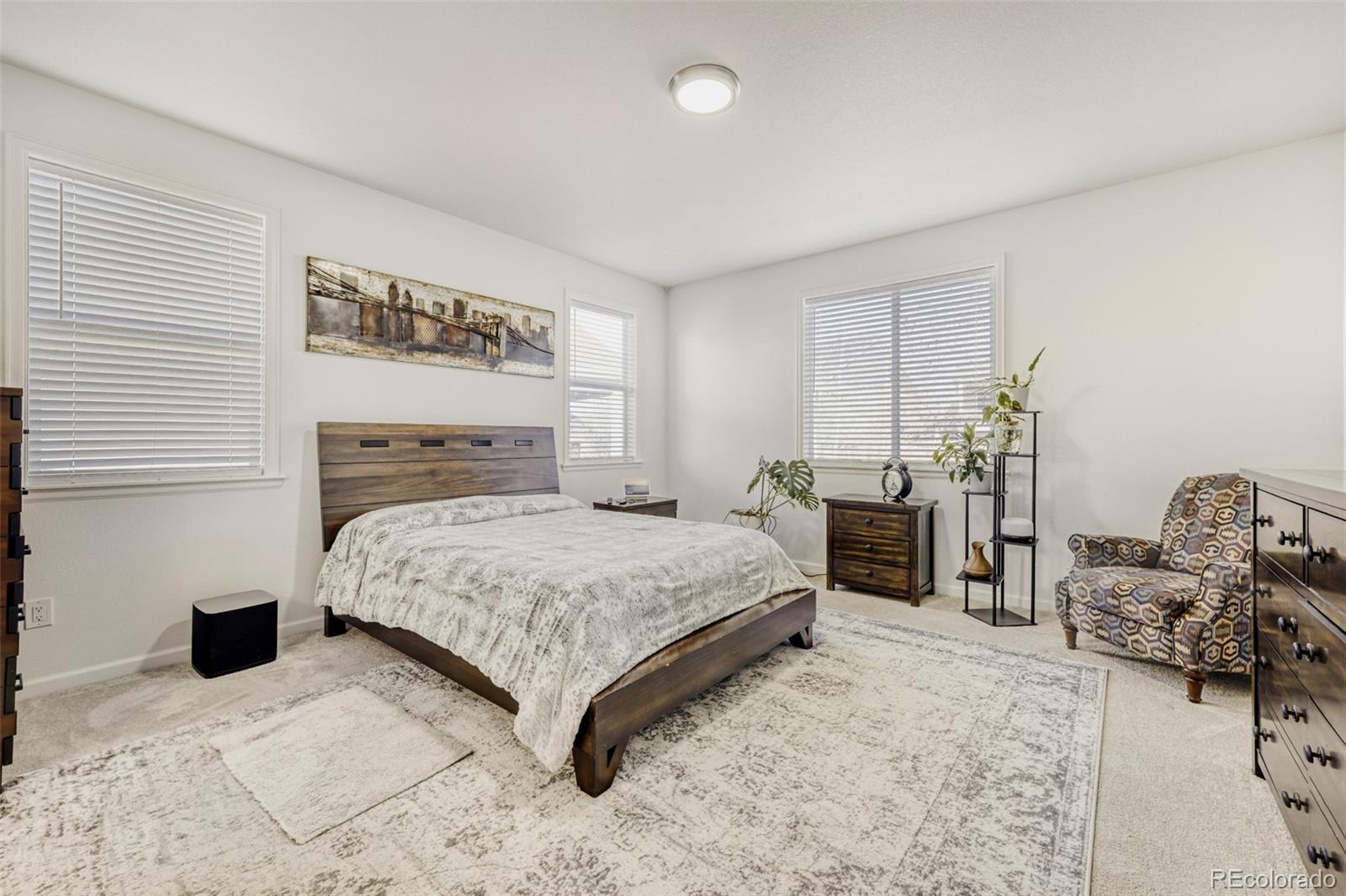 MLS Image #12 for 11350  kalispell street,commerce city, Colorado