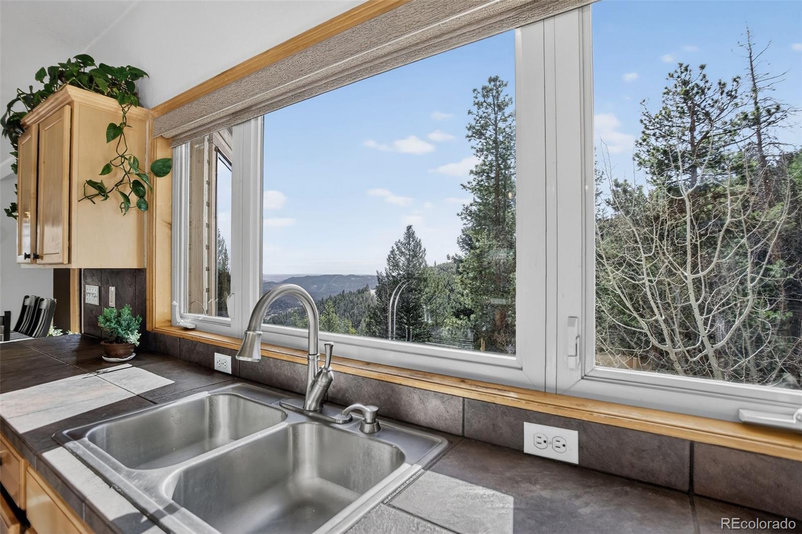 MLS Image #2 for 1255  hy vu drive,evergreen, Colorado