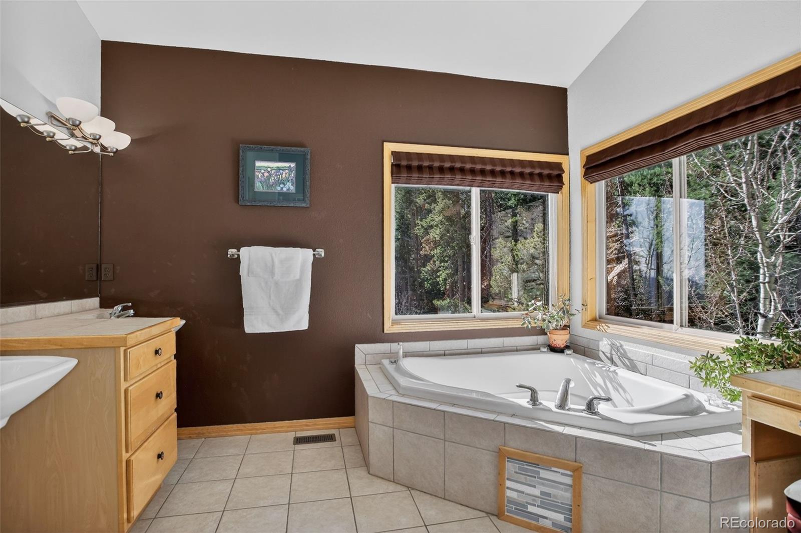 MLS Image #20 for 1255  hy vu drive,evergreen, Colorado