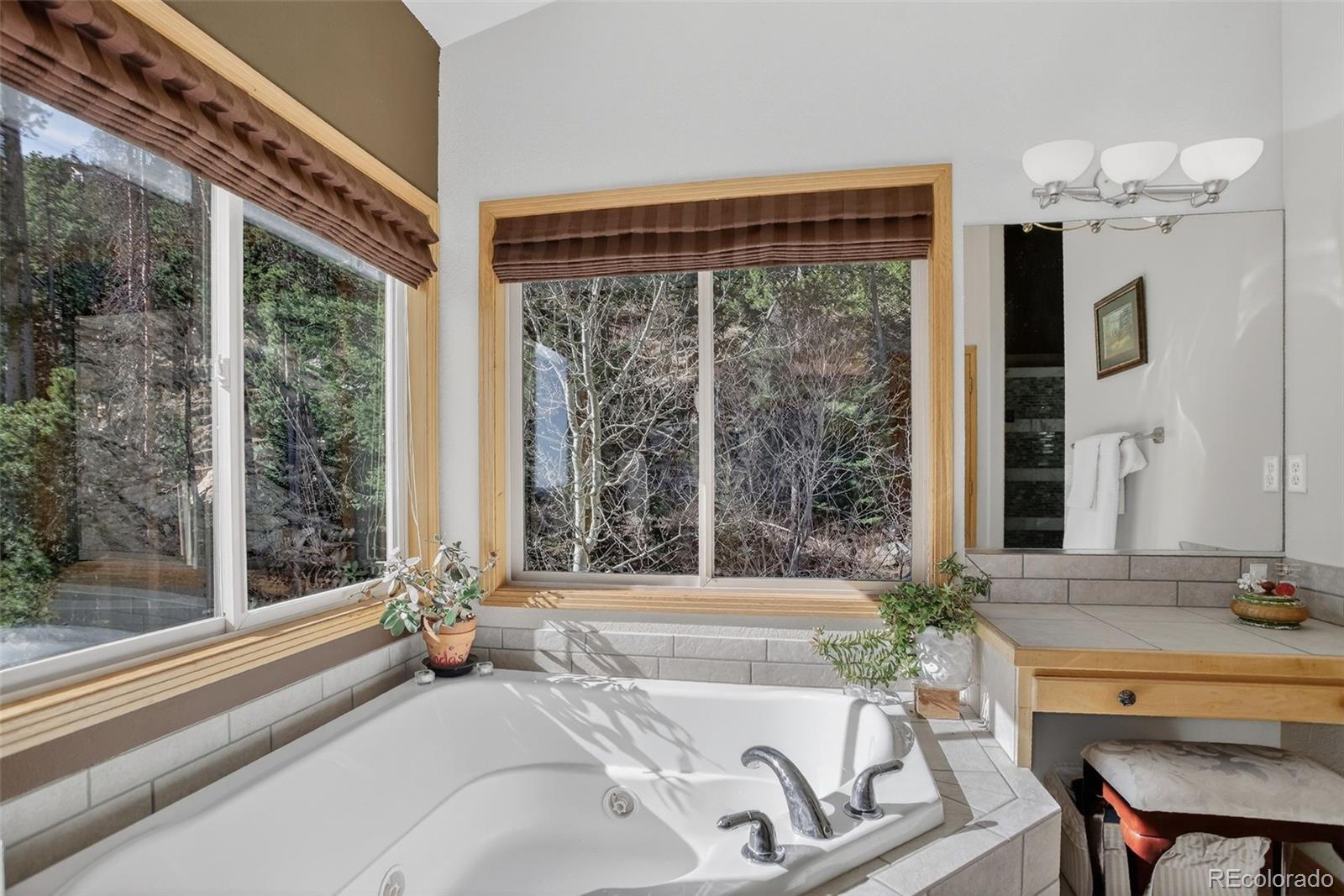 MLS Image #22 for 1255  hy vu drive,evergreen, Colorado