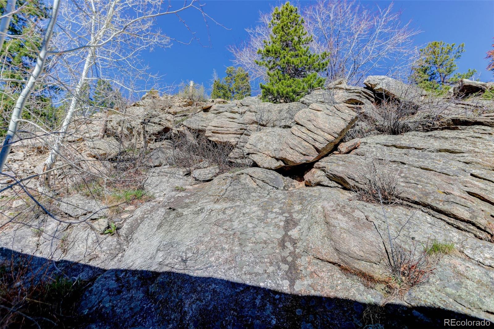 MLS Image #23 for 1255  hy vu drive,evergreen, Colorado