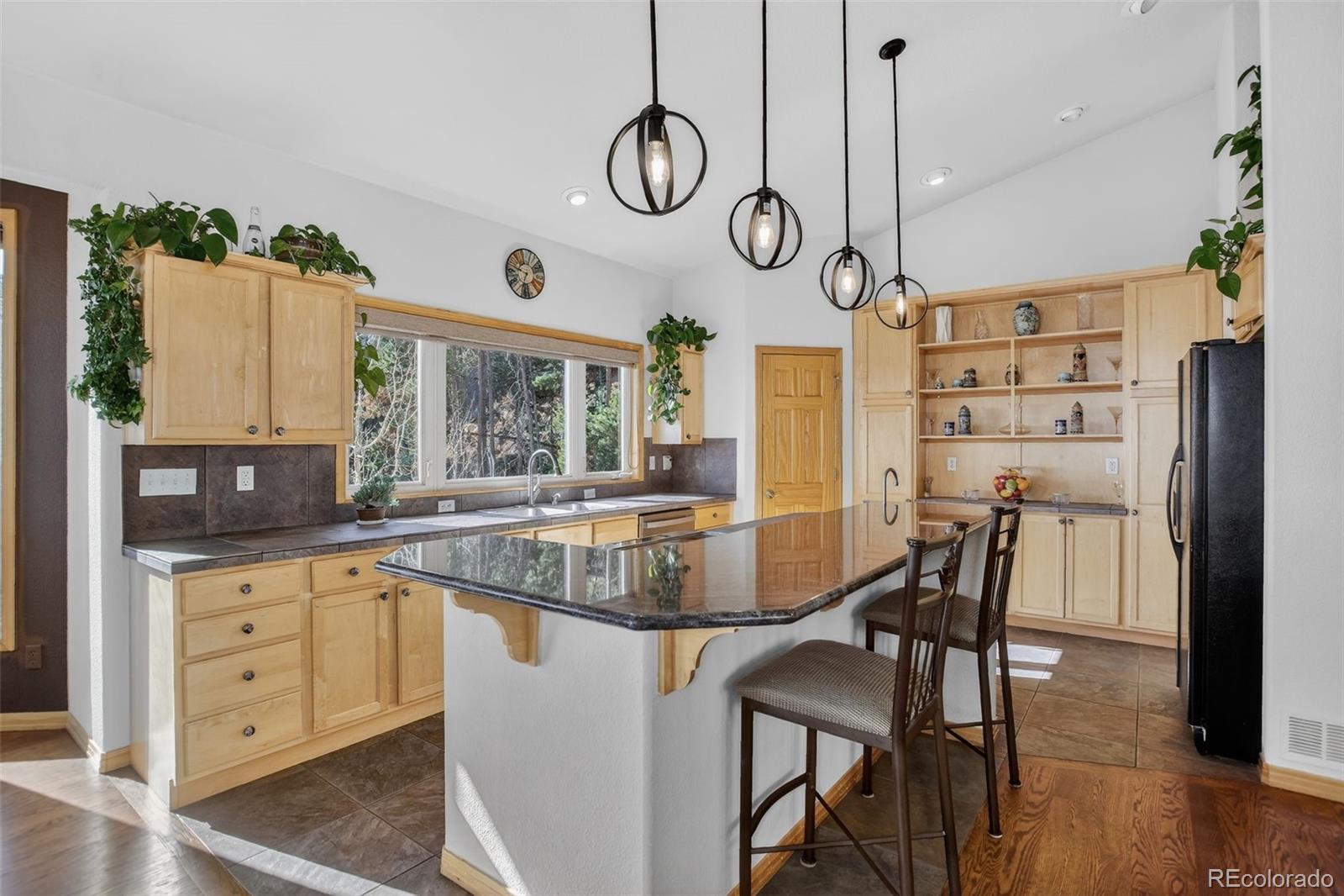 MLS Image #3 for 1255  hy vu drive,evergreen, Colorado