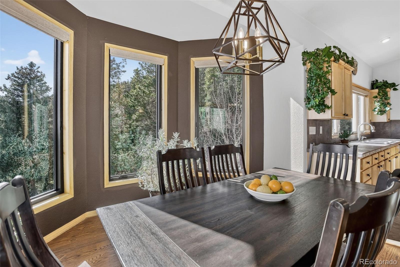 MLS Image #6 for 1255  hy vu drive,evergreen, Colorado
