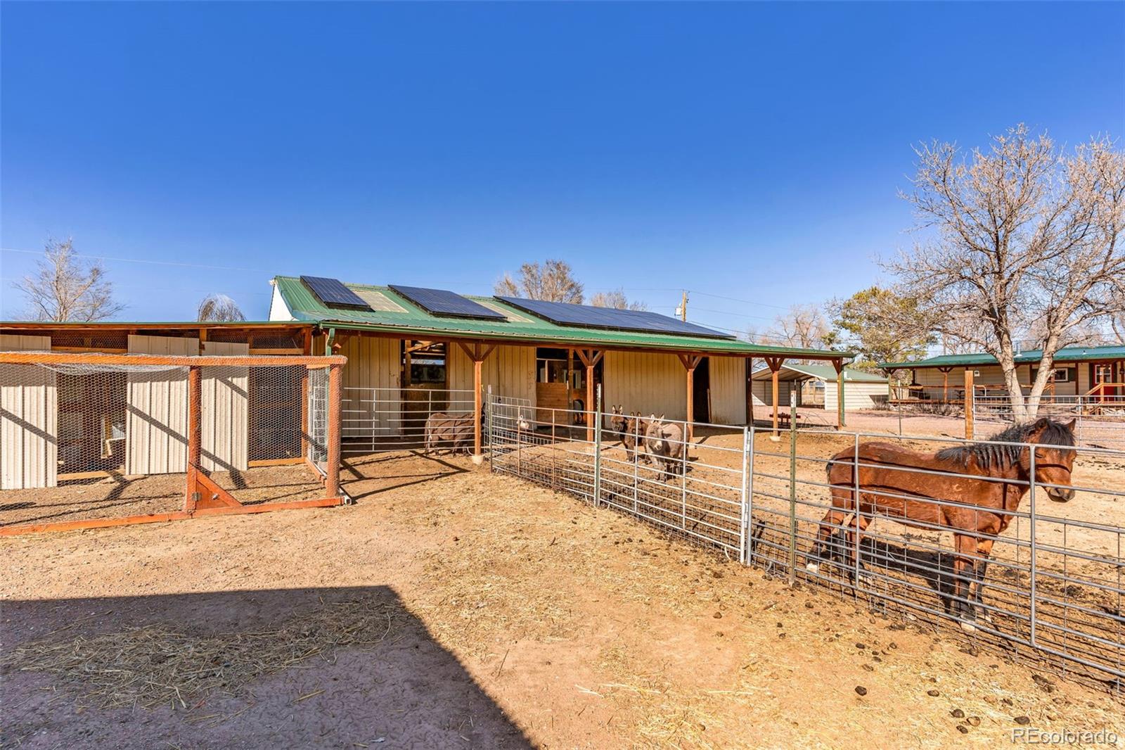MLS Image #35 for 1144  4th street,penrose, Colorado