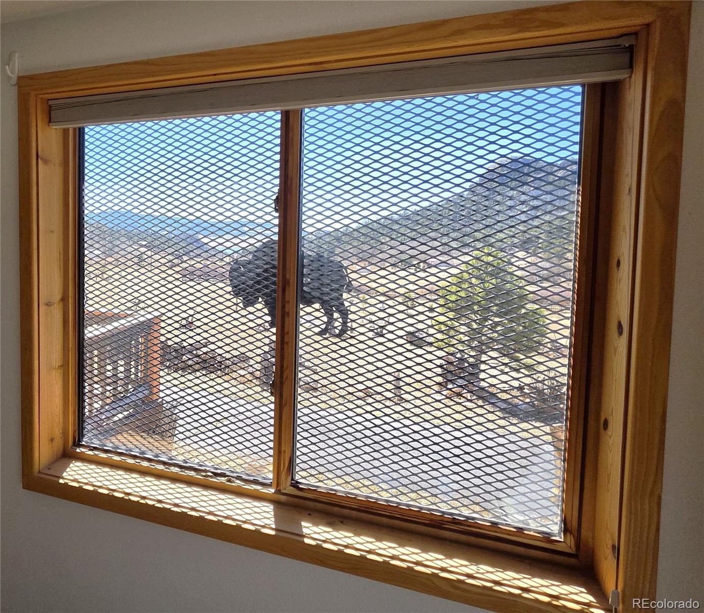 MLS Image #15 for 60  pawnee path,lake george, Colorado