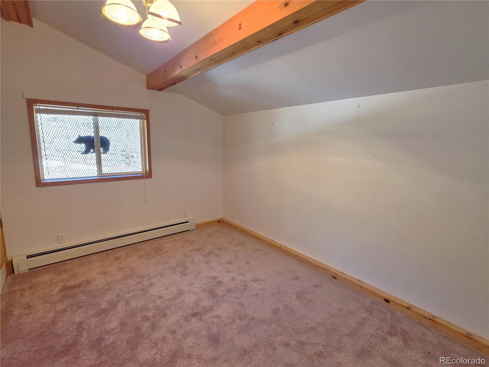 MLS Image #23 for 60  pawnee path,lake george, Colorado