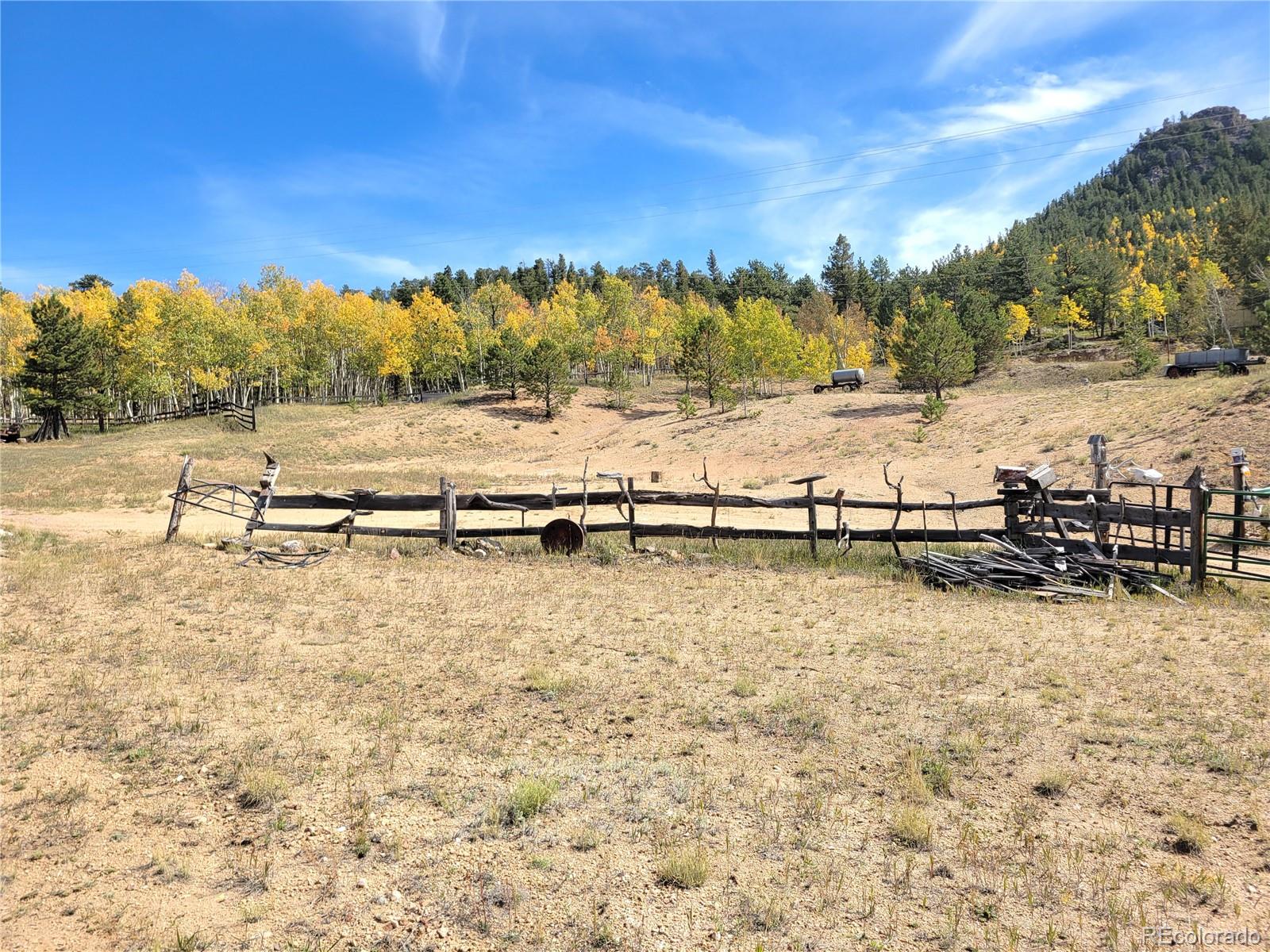 MLS Image #32 for 60  pawnee path,lake george, Colorado