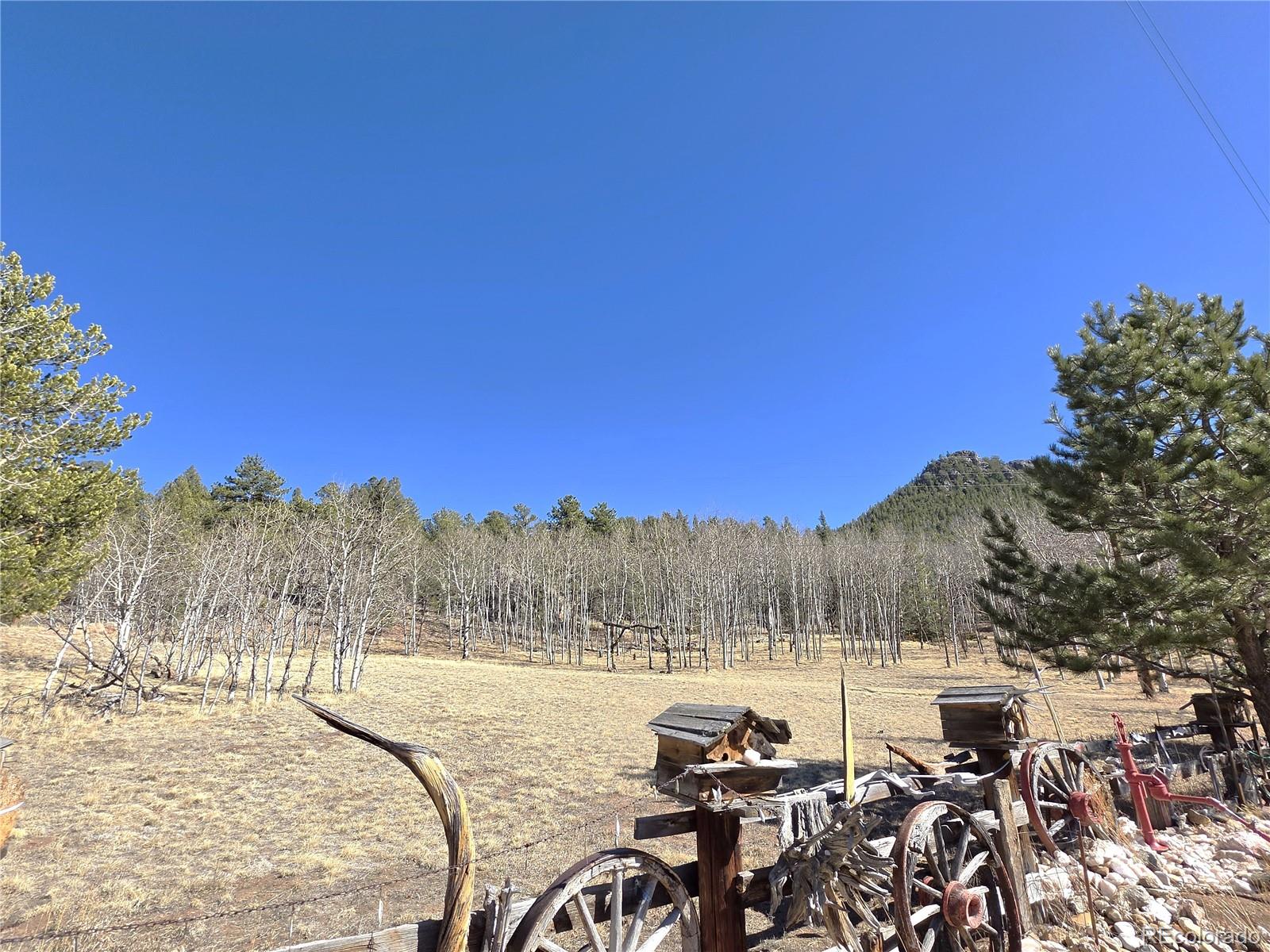 MLS Image #35 for 60  pawnee path,lake george, Colorado