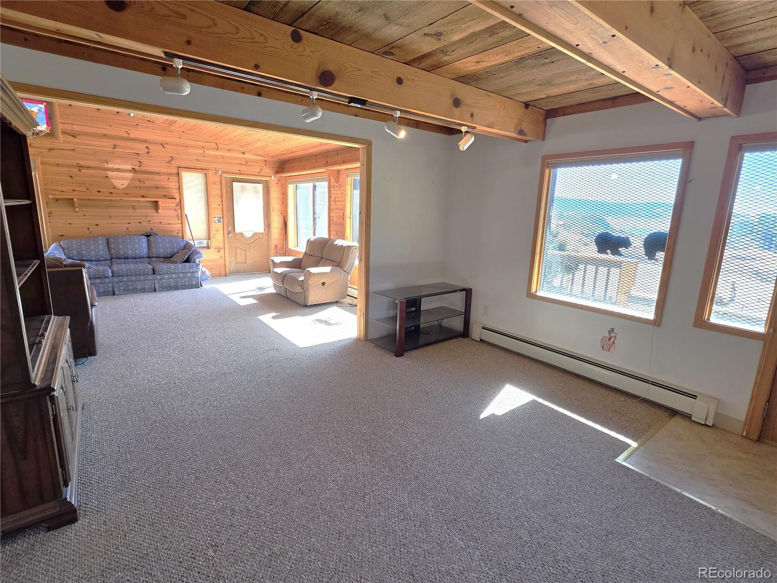 MLS Image #6 for 60  pawnee path,lake george, Colorado