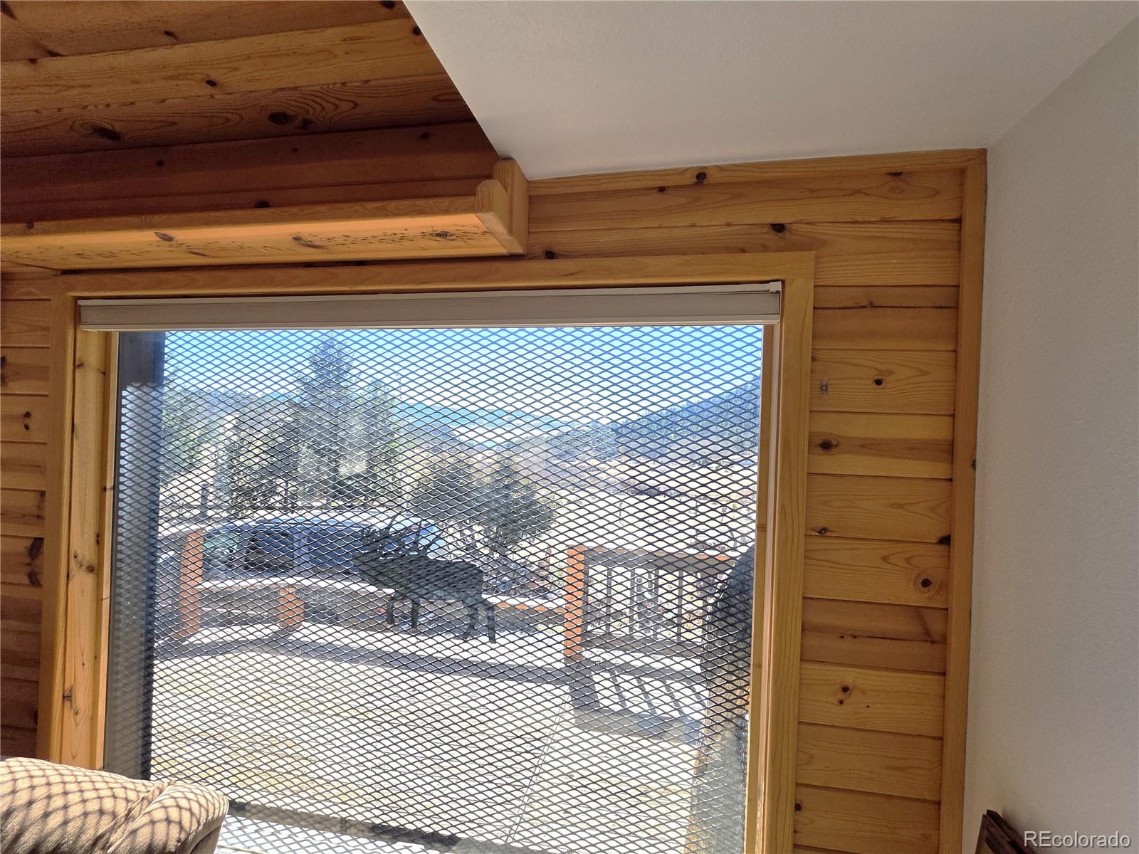 MLS Image #8 for 60  pawnee path,lake george, Colorado