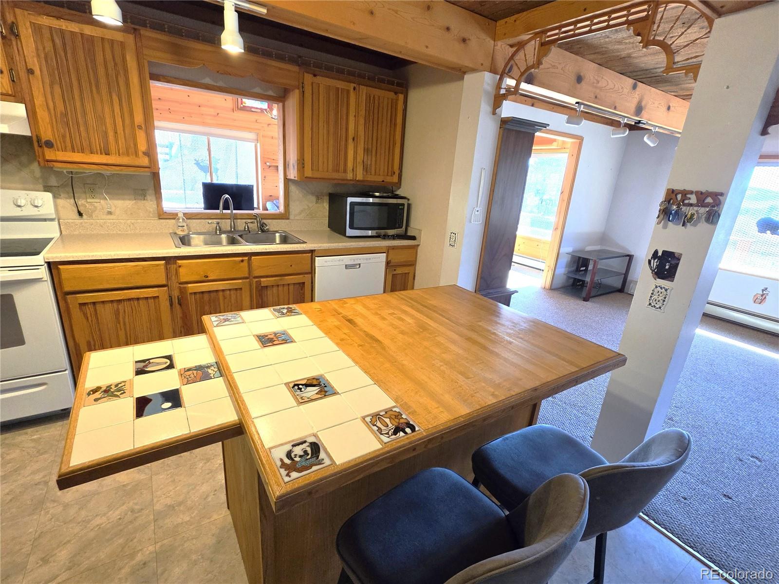 MLS Image #9 for 60  pawnee path,lake george, Colorado