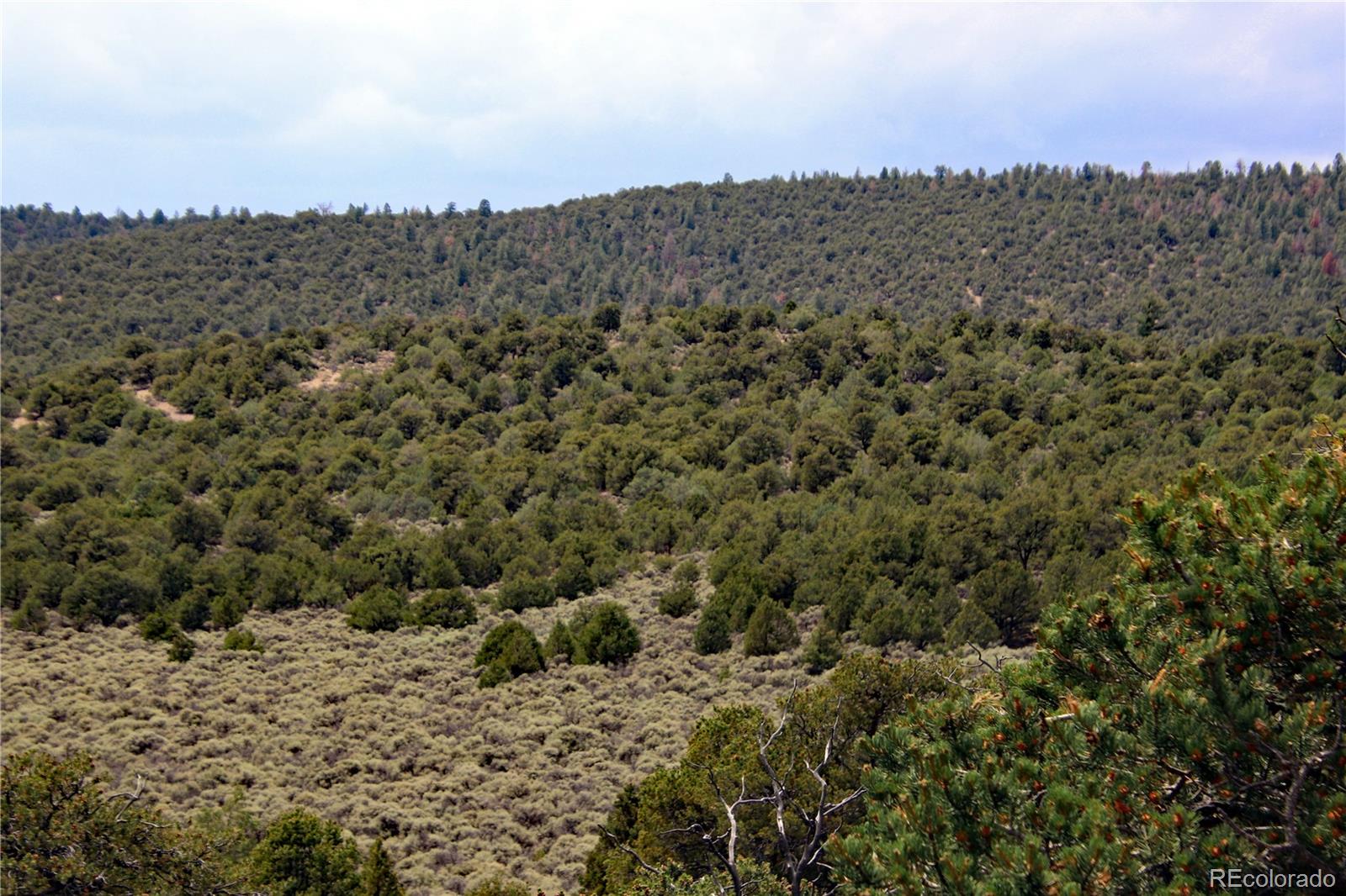 MLS Image #26 for 2252  white tail rd #2 circle,san luis, Colorado