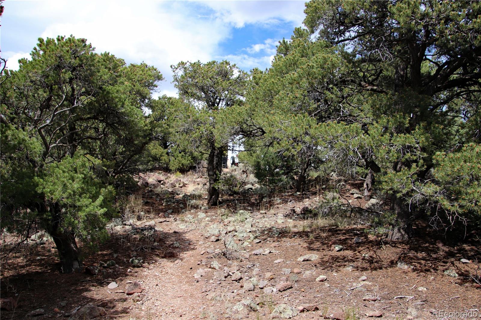 MLS Image #32 for 2252  white tail rd #2 circle,san luis, Colorado
