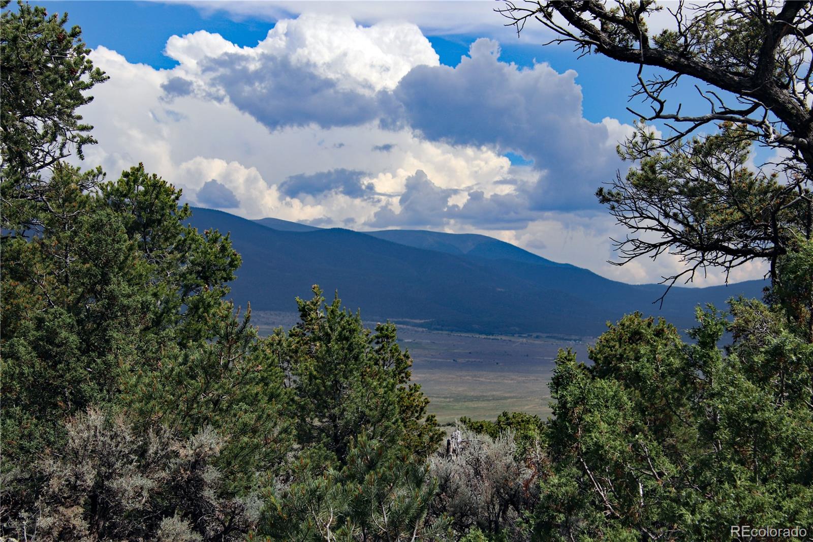 MLS Image #34 for 2252  white tail rd #2 circle,san luis, Colorado