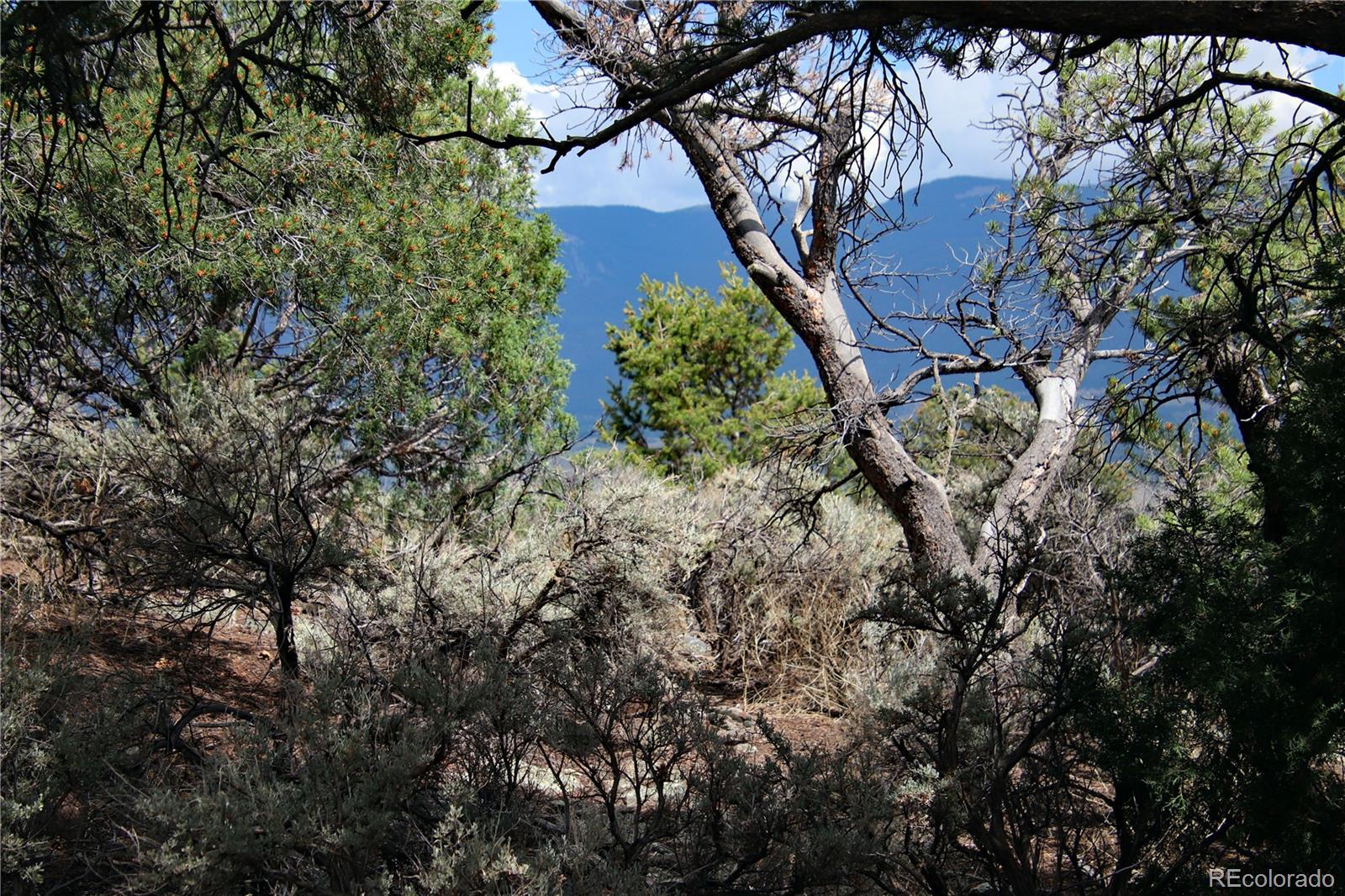 MLS Image #35 for 2252  white tail rd #2 circle,san luis, Colorado
