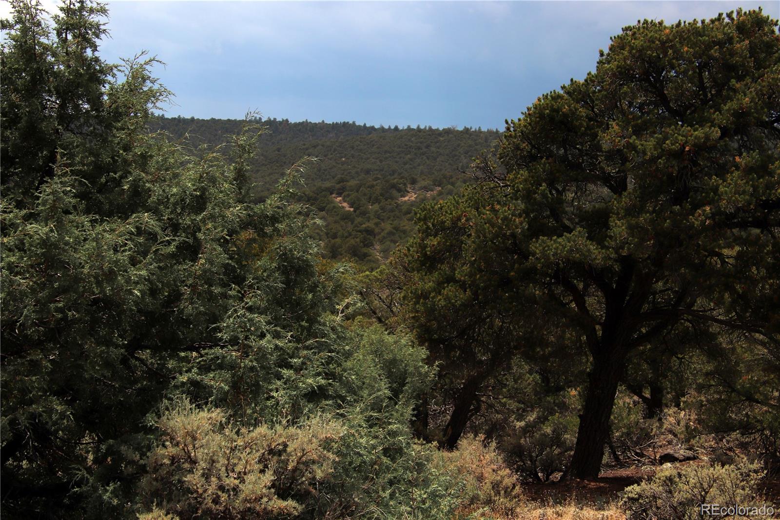 MLS Image #43 for 2252  white tail rd #2 circle,san luis, Colorado