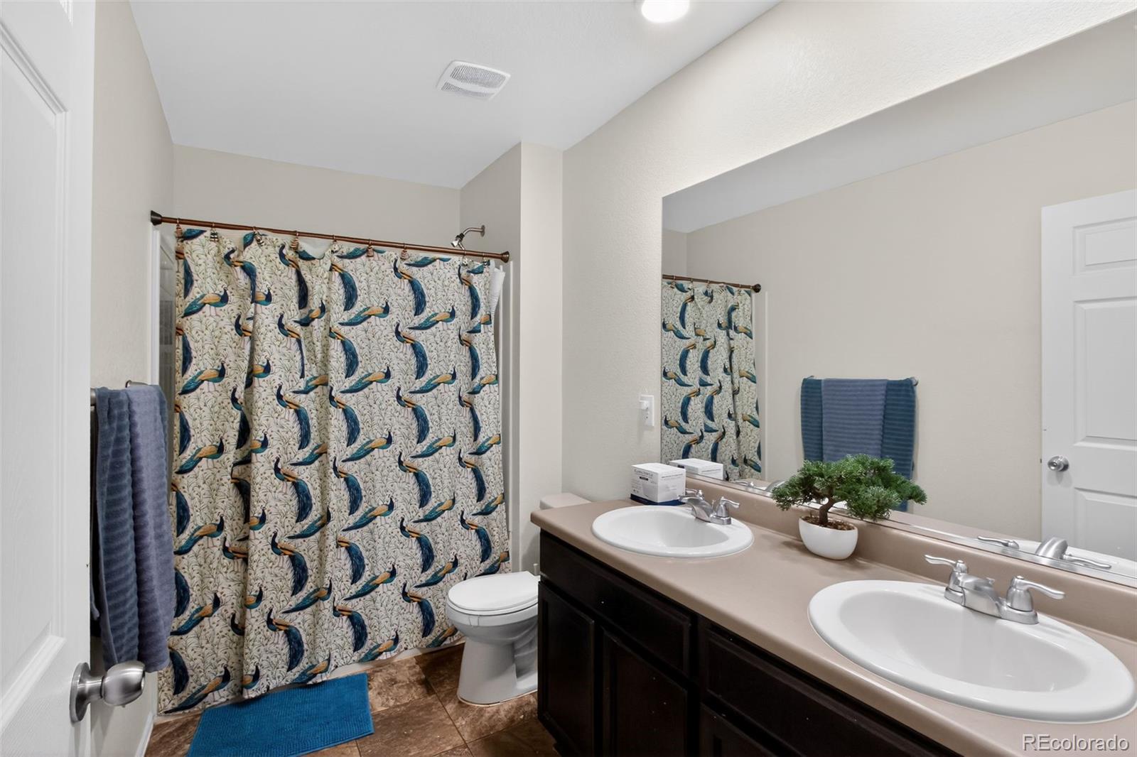 MLS Image #22 for 1081  brio street,lochbuie, Colorado