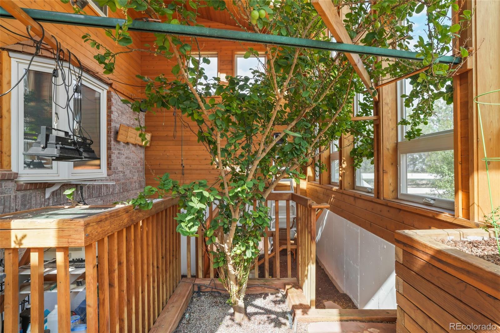 MLS Image #11 for 14871  mariposa court,westminster, Colorado