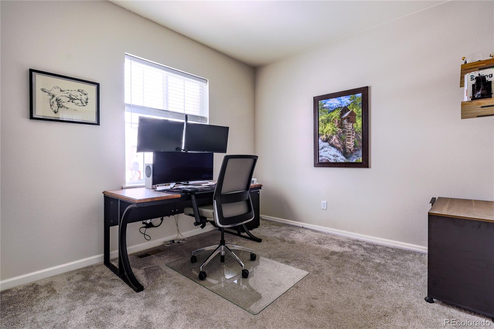 MLS Image #15 for 8335  big thompson street,littleton, Colorado