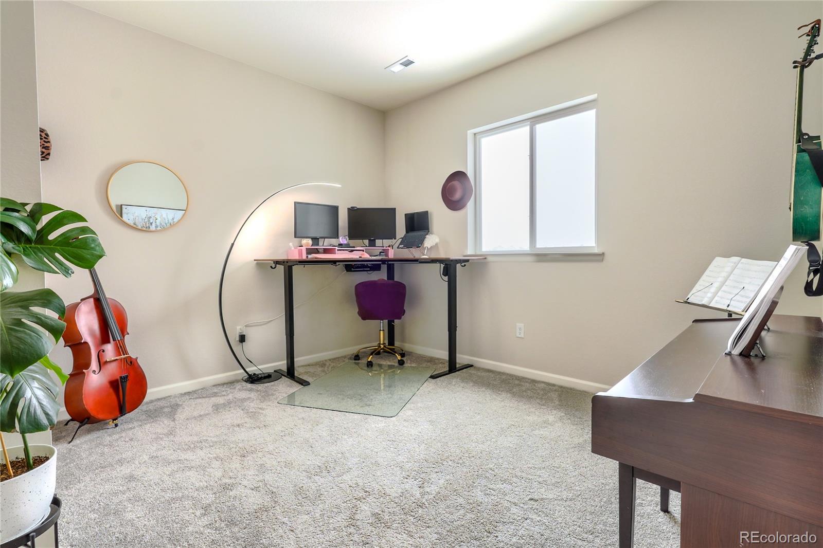 MLS Image #25 for 8335  big thompson street,littleton, Colorado